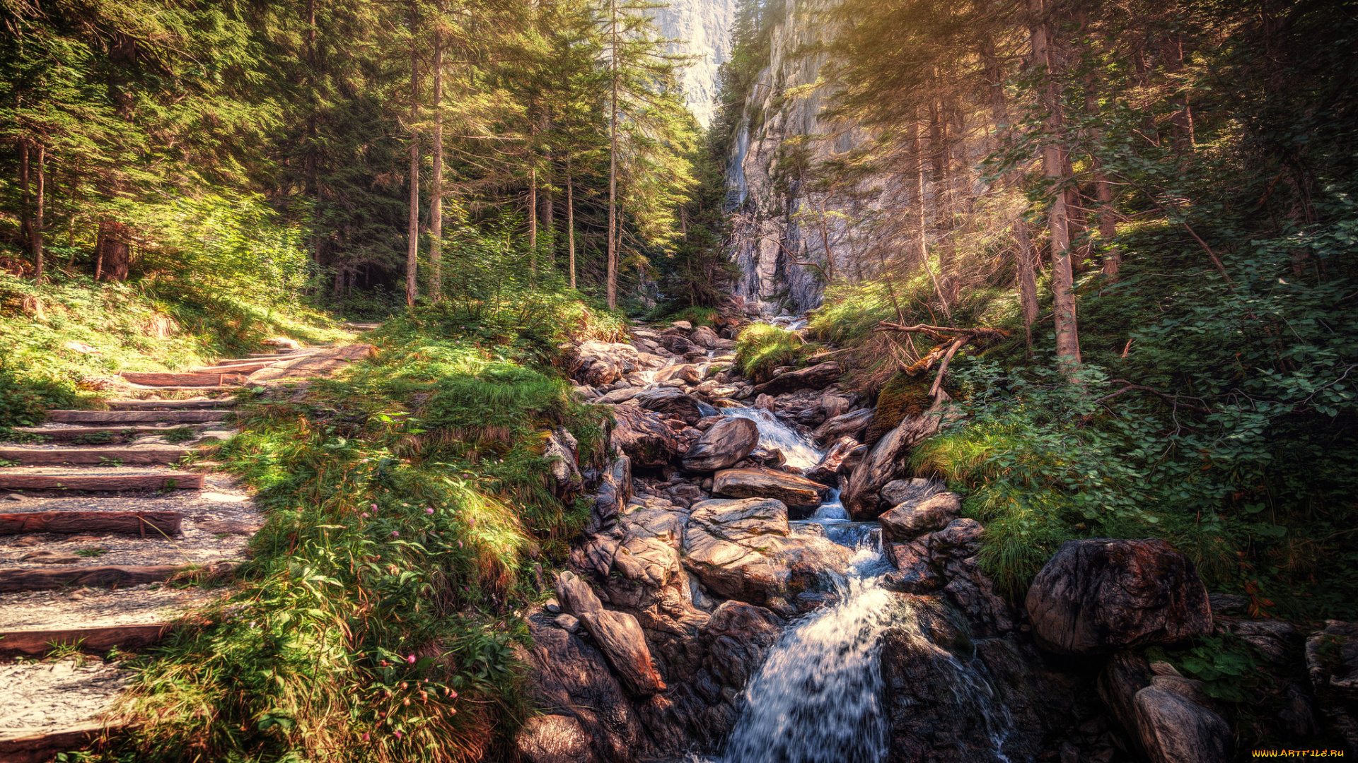 природа, реки, озера, простор