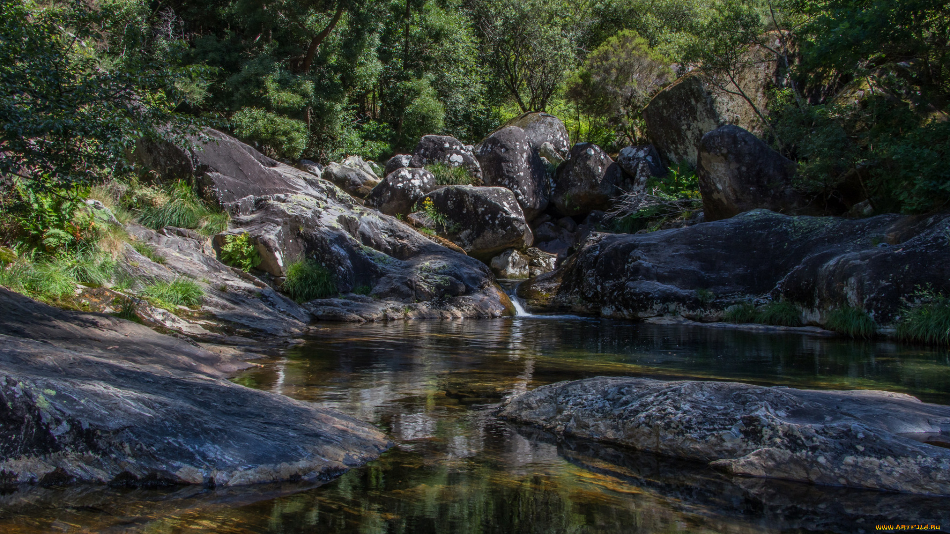 природа, реки, озера, простор