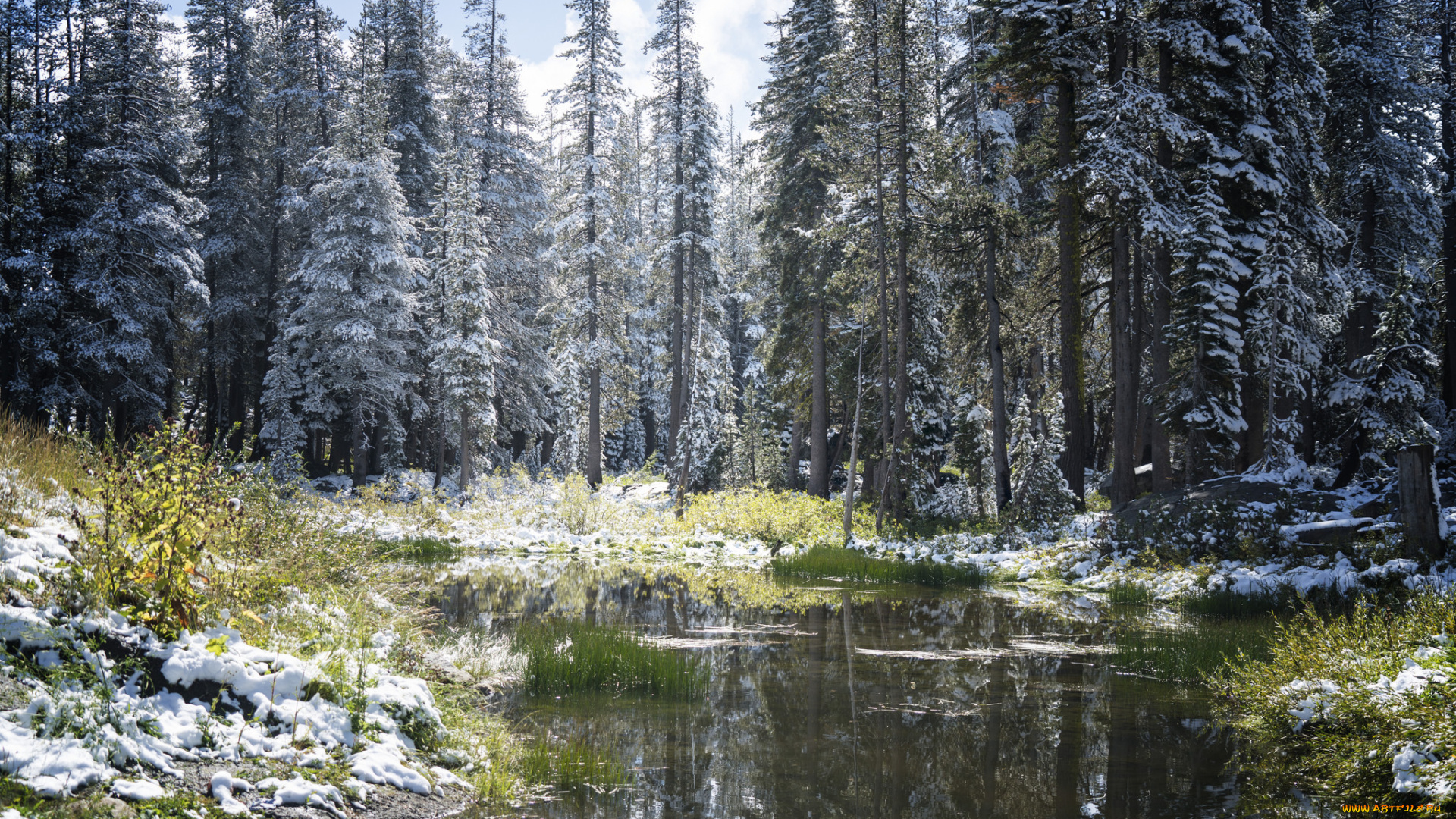 природа, реки, озера, простор