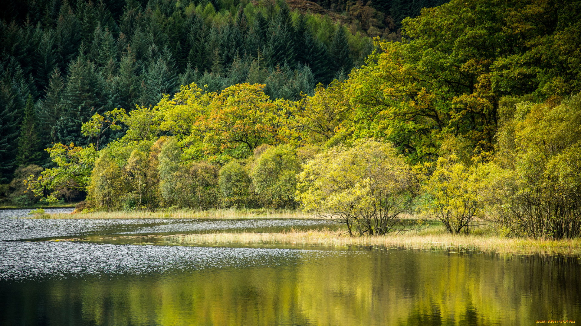 природа, реки, озера, простор