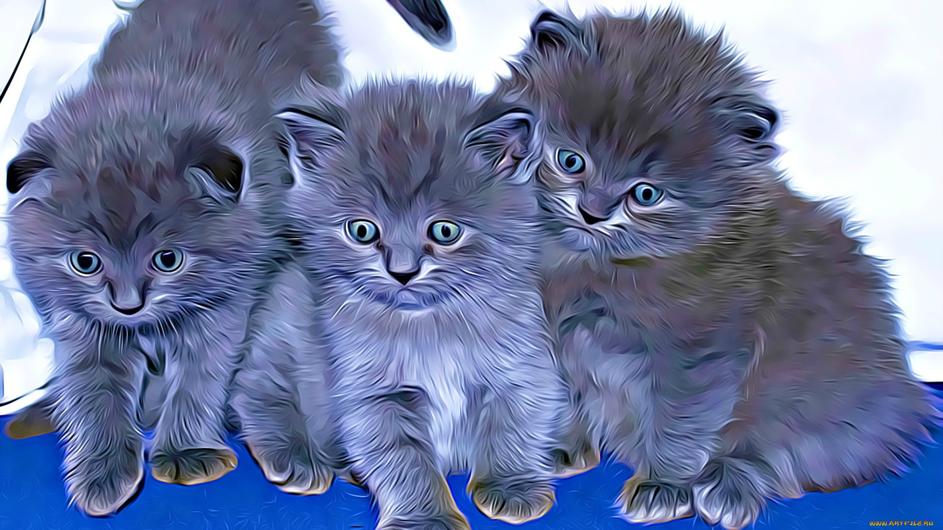 разное, компьютерный, дизайн, фон, коты