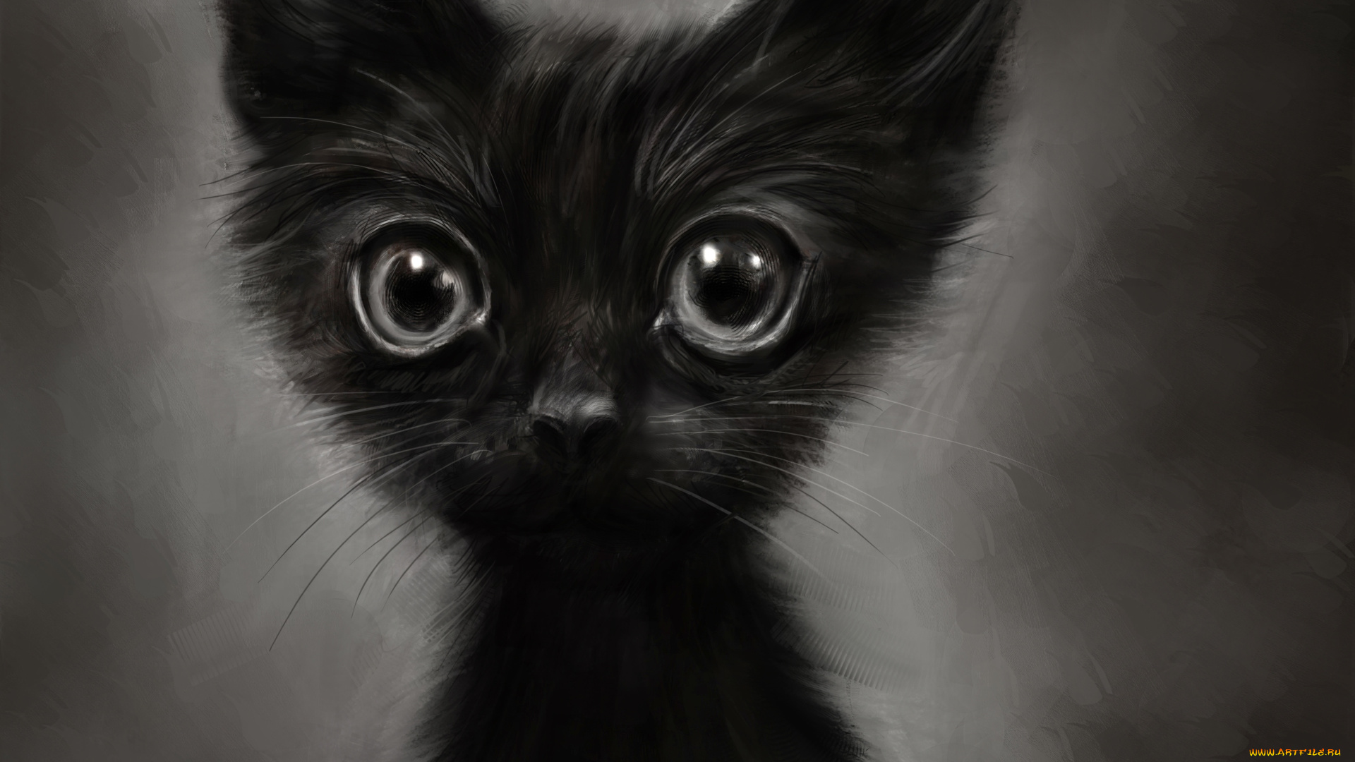 рисованное, животные, , коты, котенок, рисунок, смешной