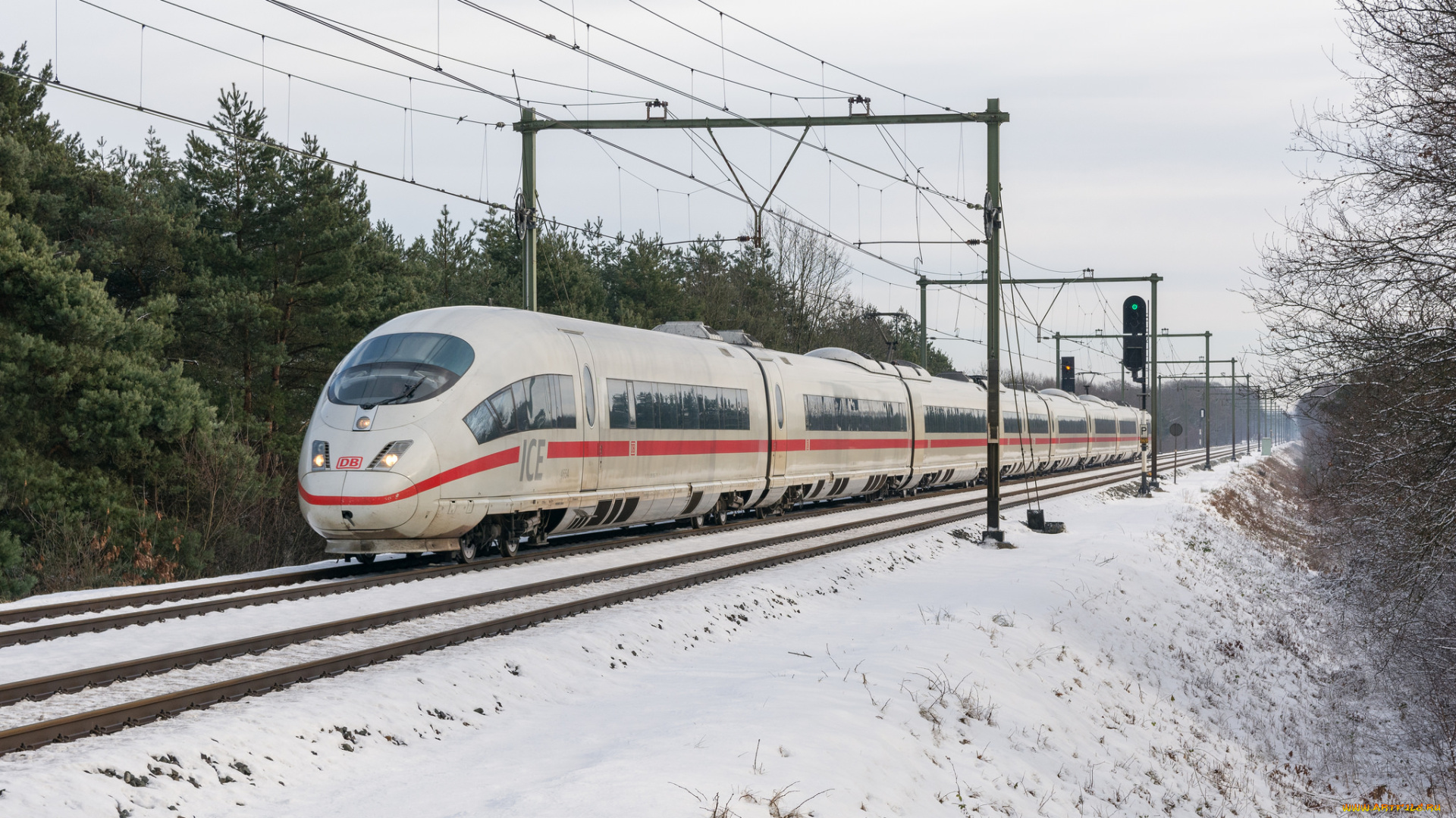 техника, электровозы, состав, локомотив