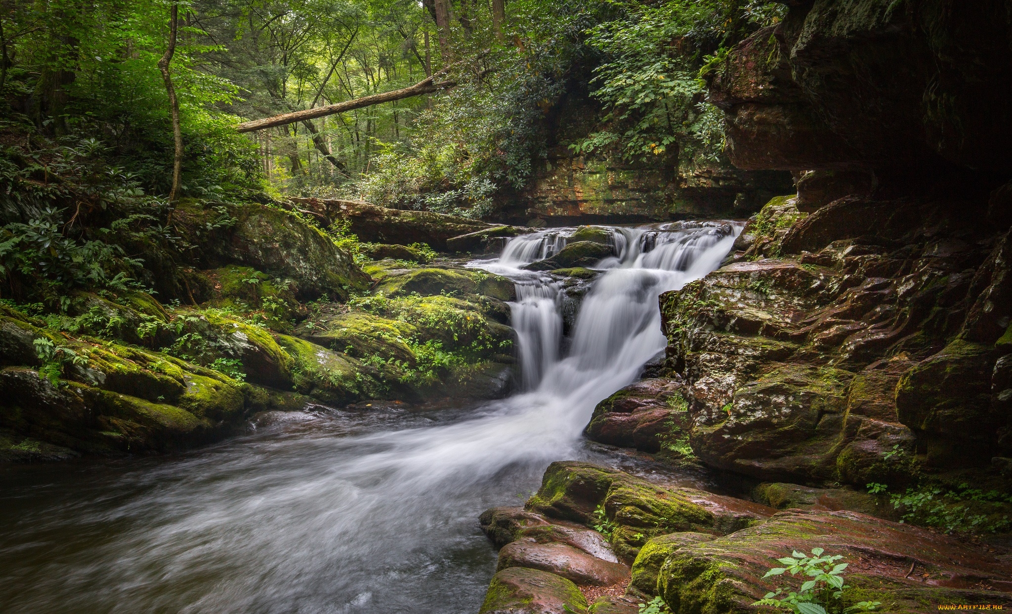 природа, реки, озера, простор