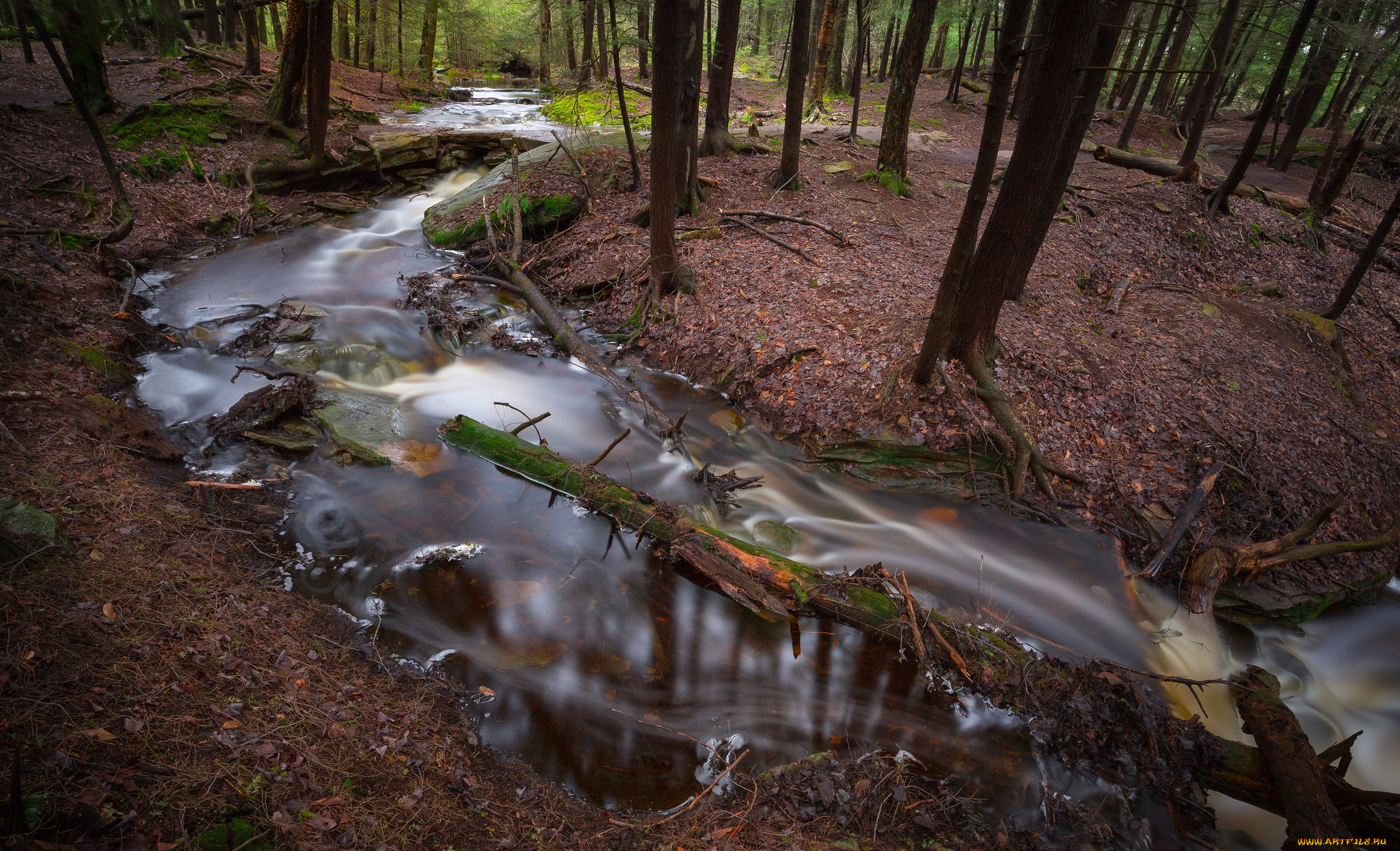 природа, реки, озера, простор