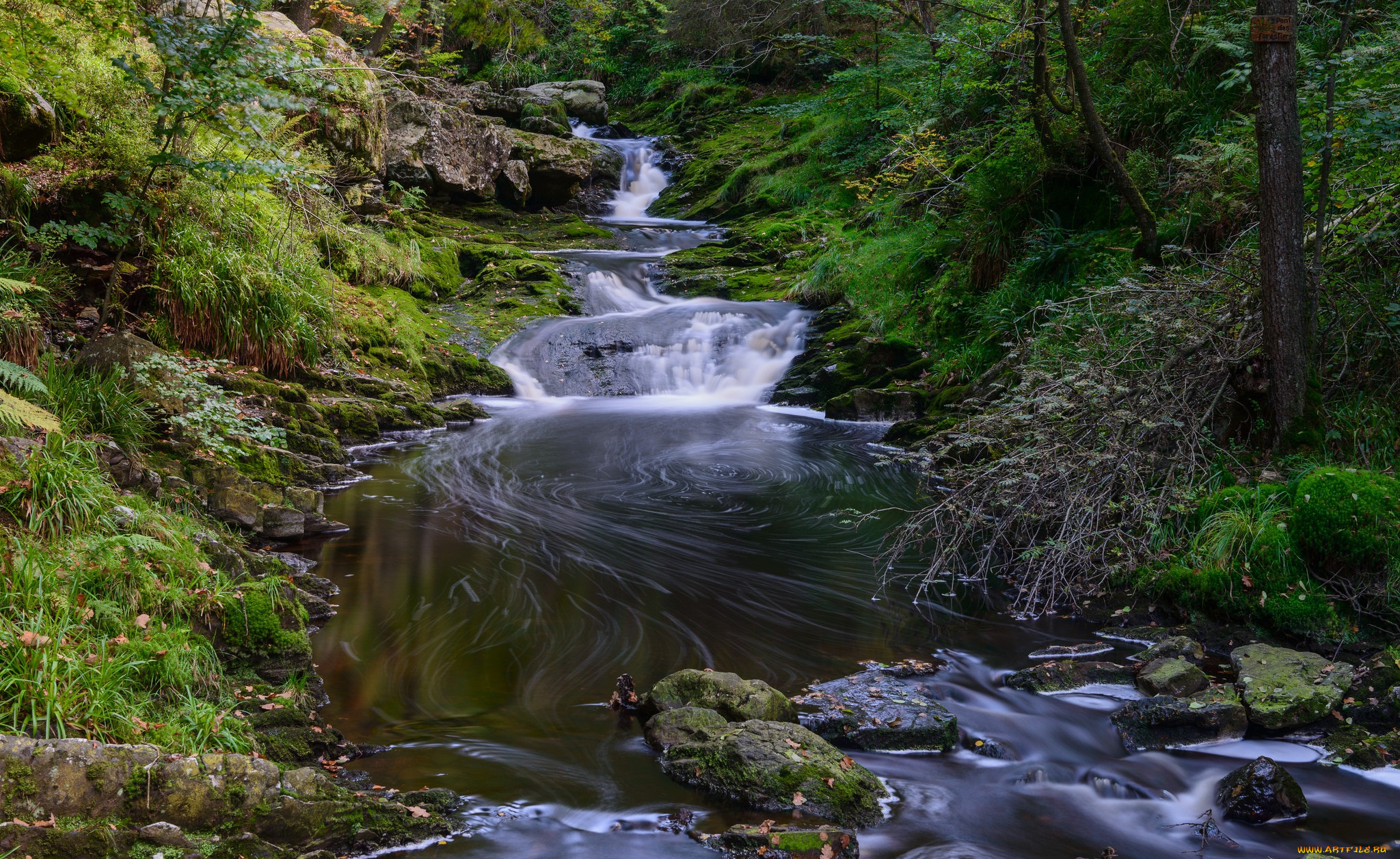 природа, реки, озера, простор