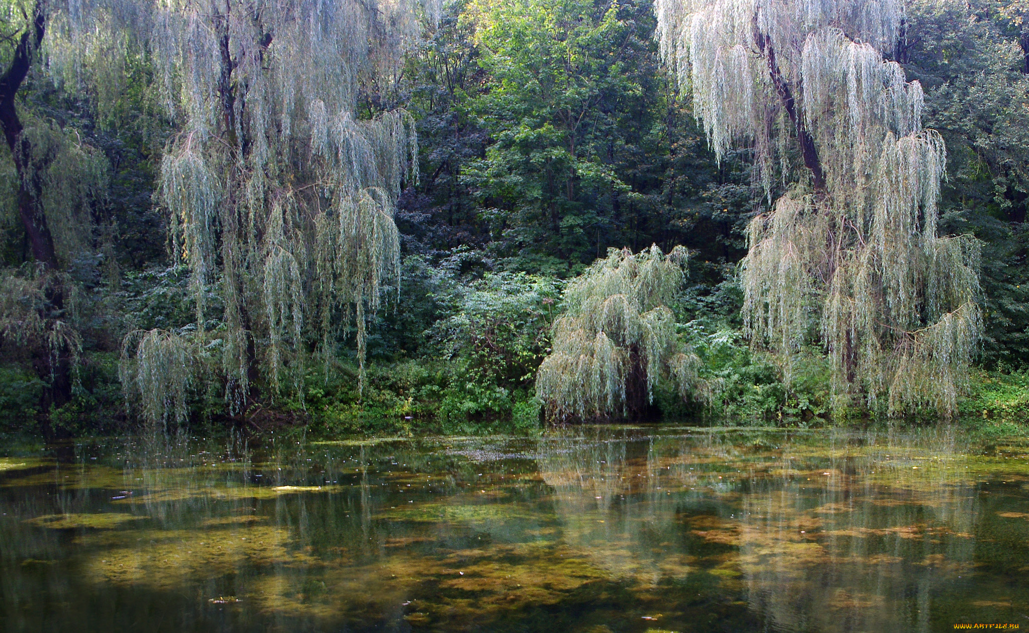 природа, реки, озера, простор