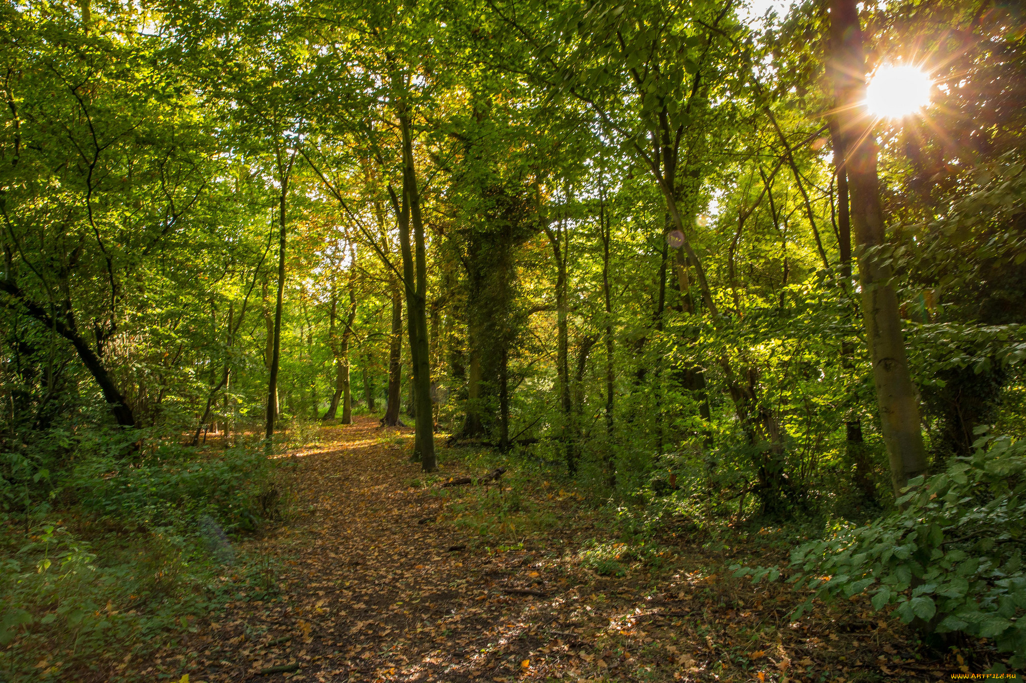 природа, дороги, простор