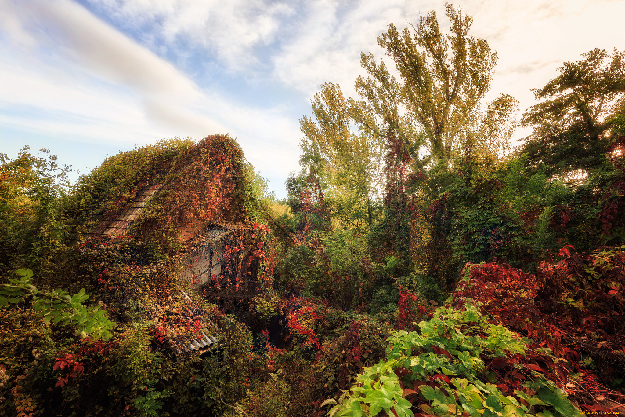 природа, пейзажи, простор