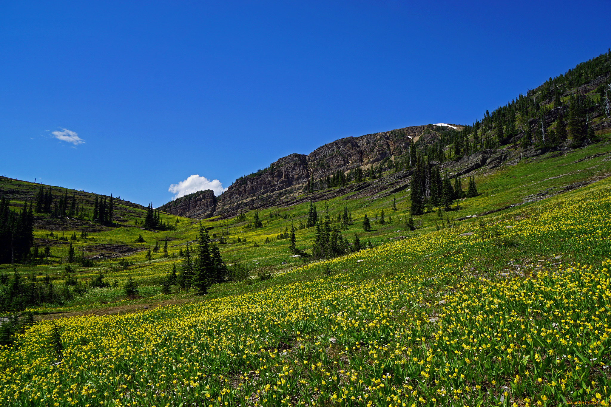 природа, пейзажи, простор