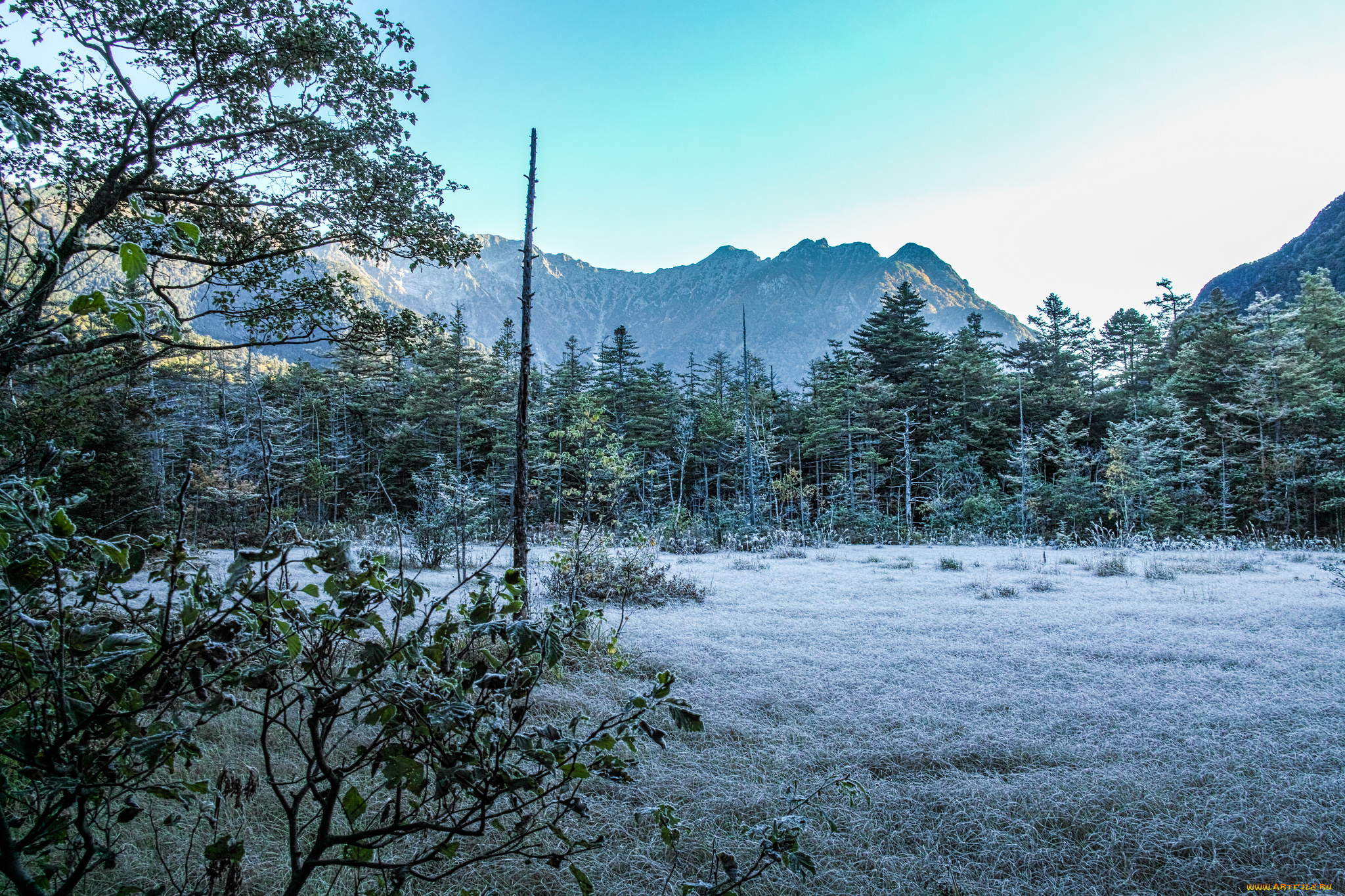 природа, пейзажи, простор