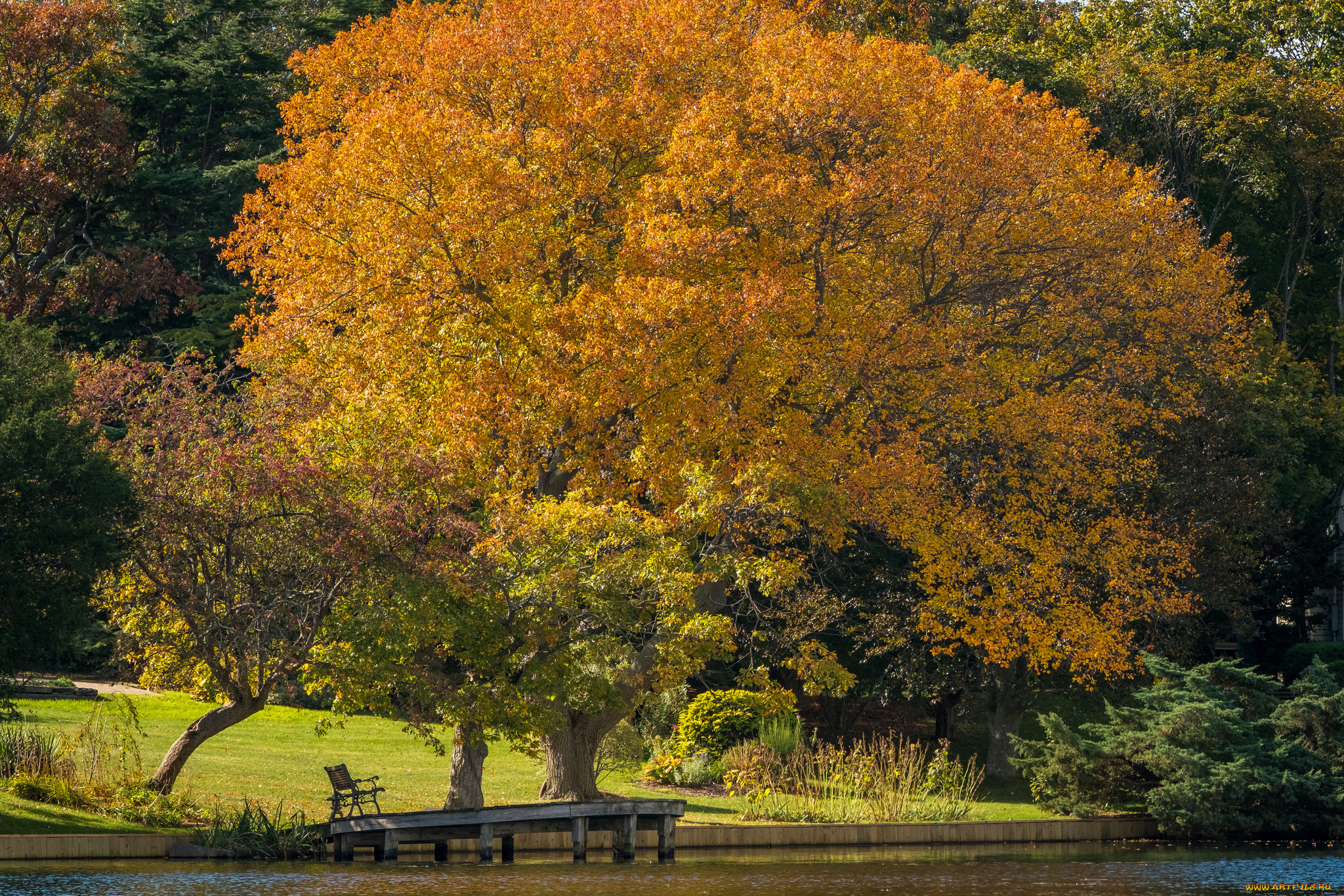 природа, реки, озера, простор