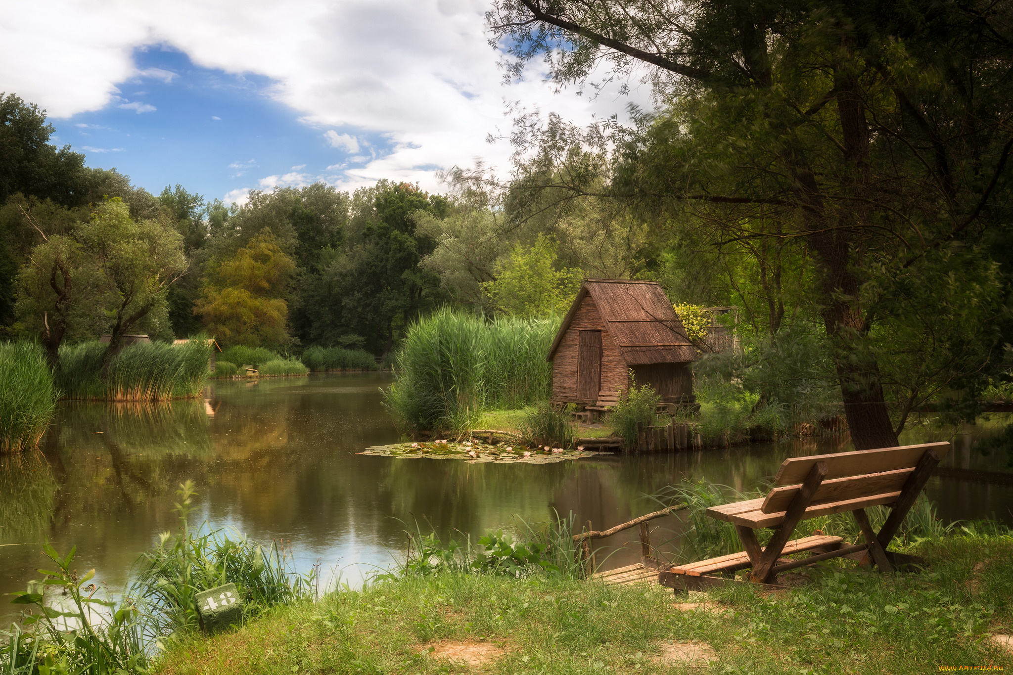 природа, реки, озера, простор