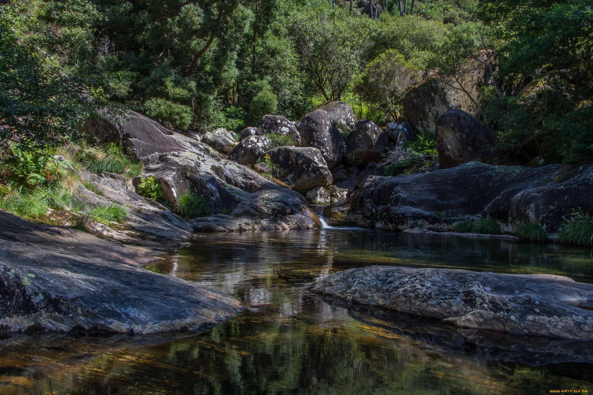 природа, реки, озера, простор