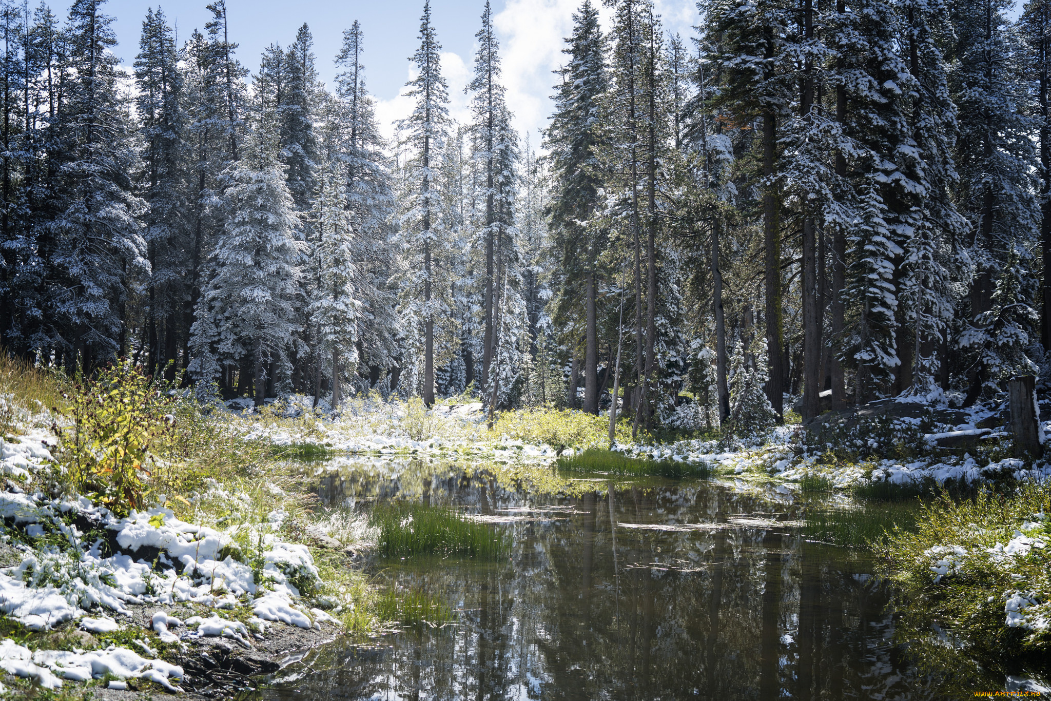 природа, реки, озера, простор