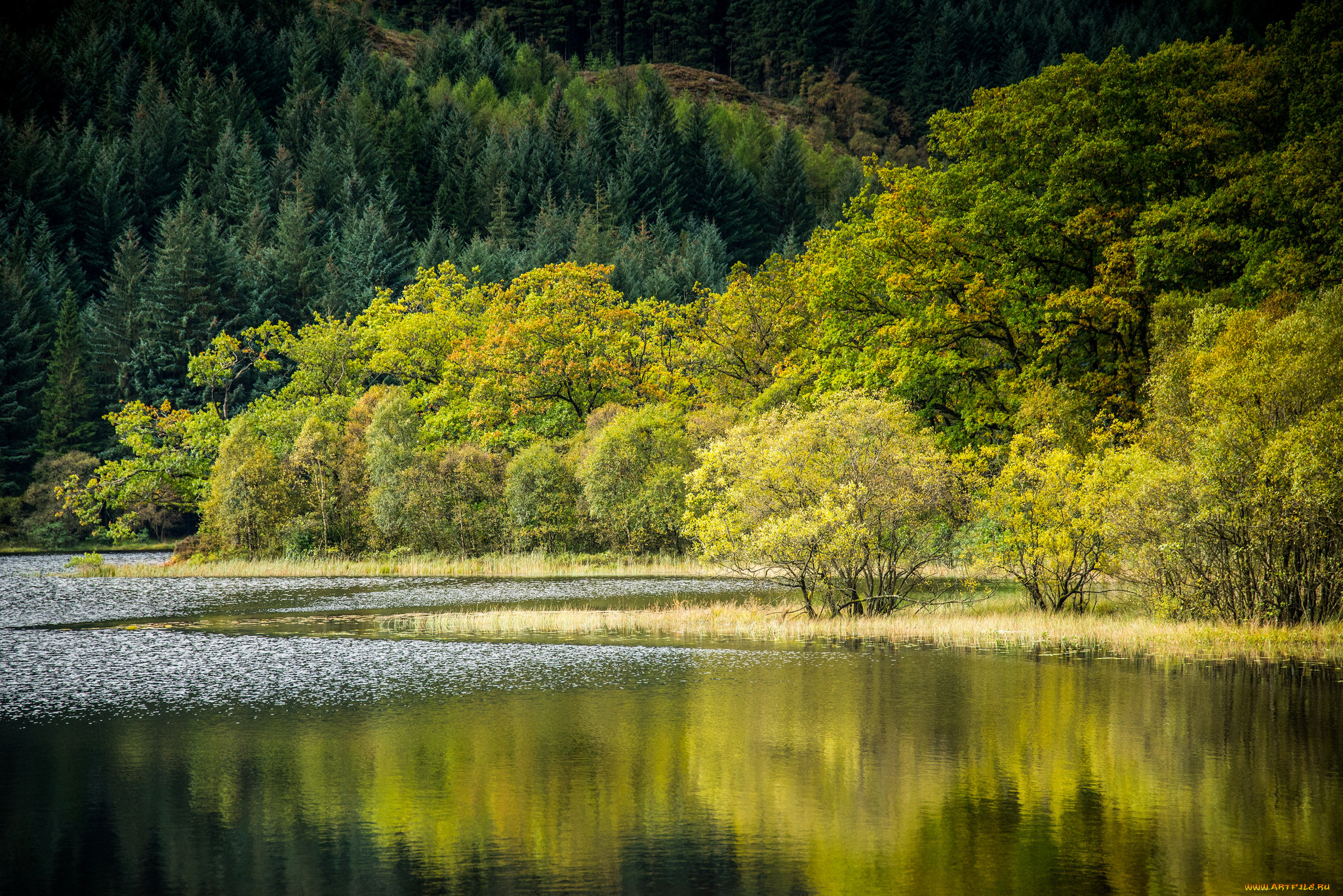природа, реки, озера, простор