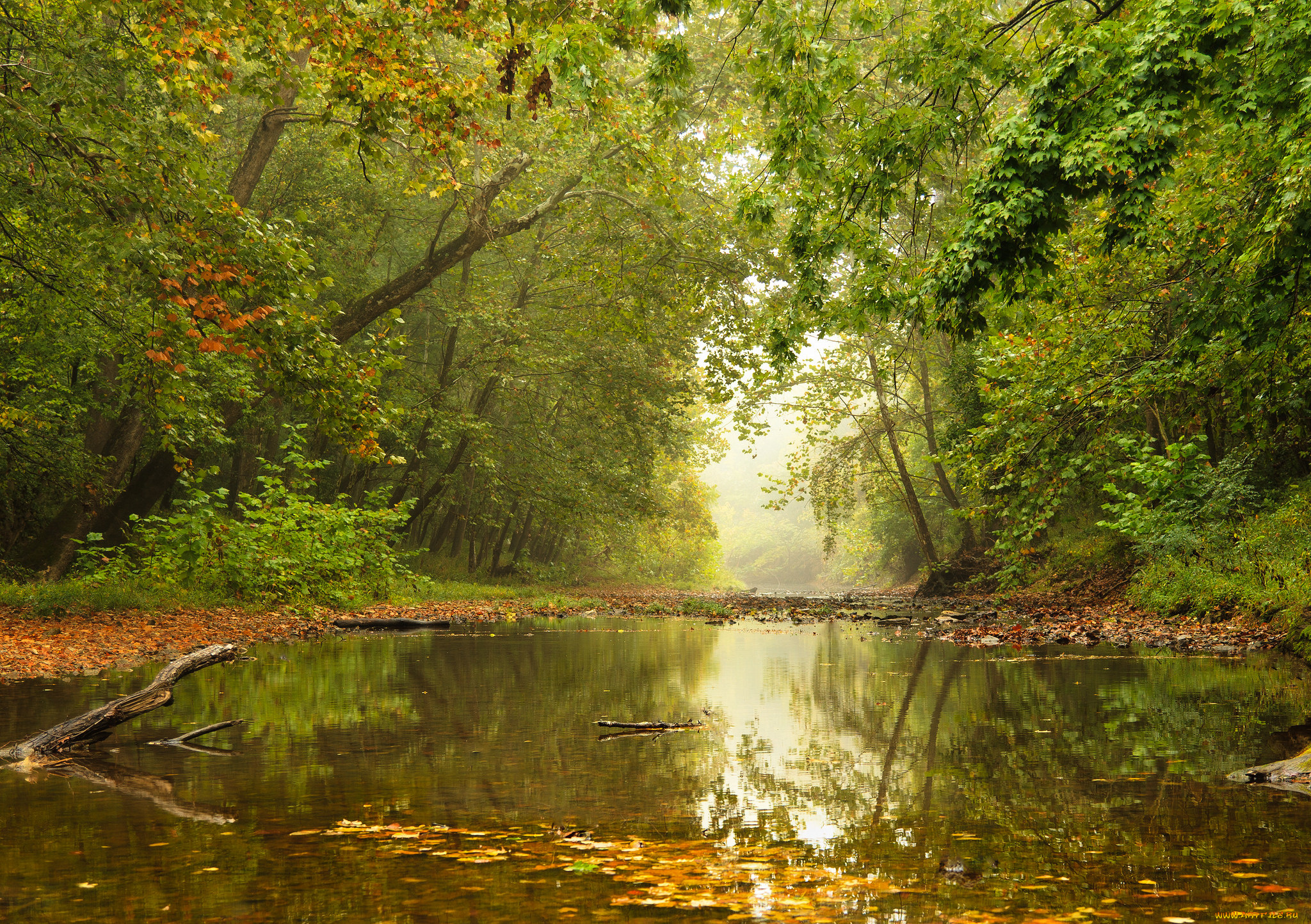 природа, реки, озера, простор