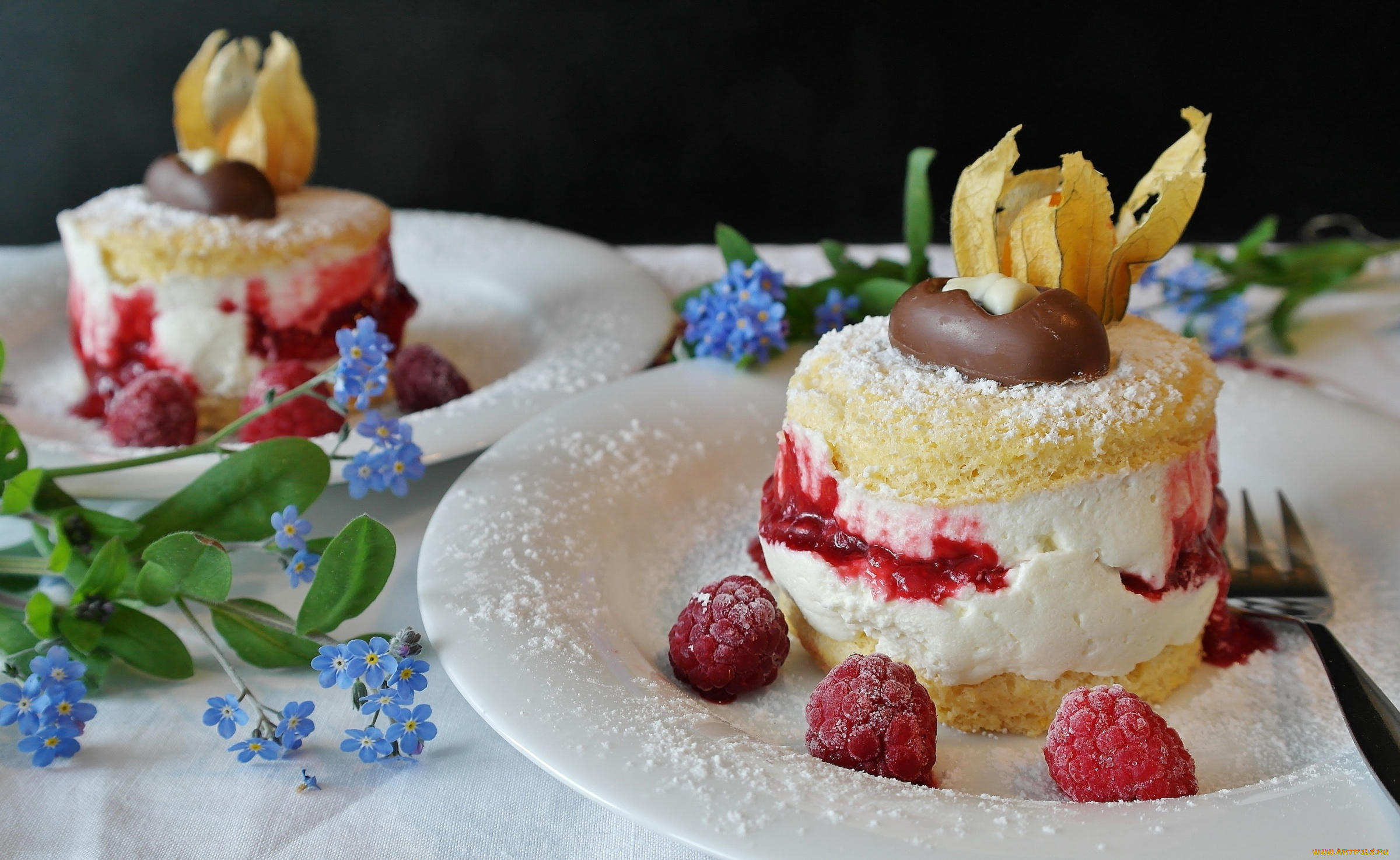 еда, пирожные, , кексы, , печенье, мусс, малина, физалис