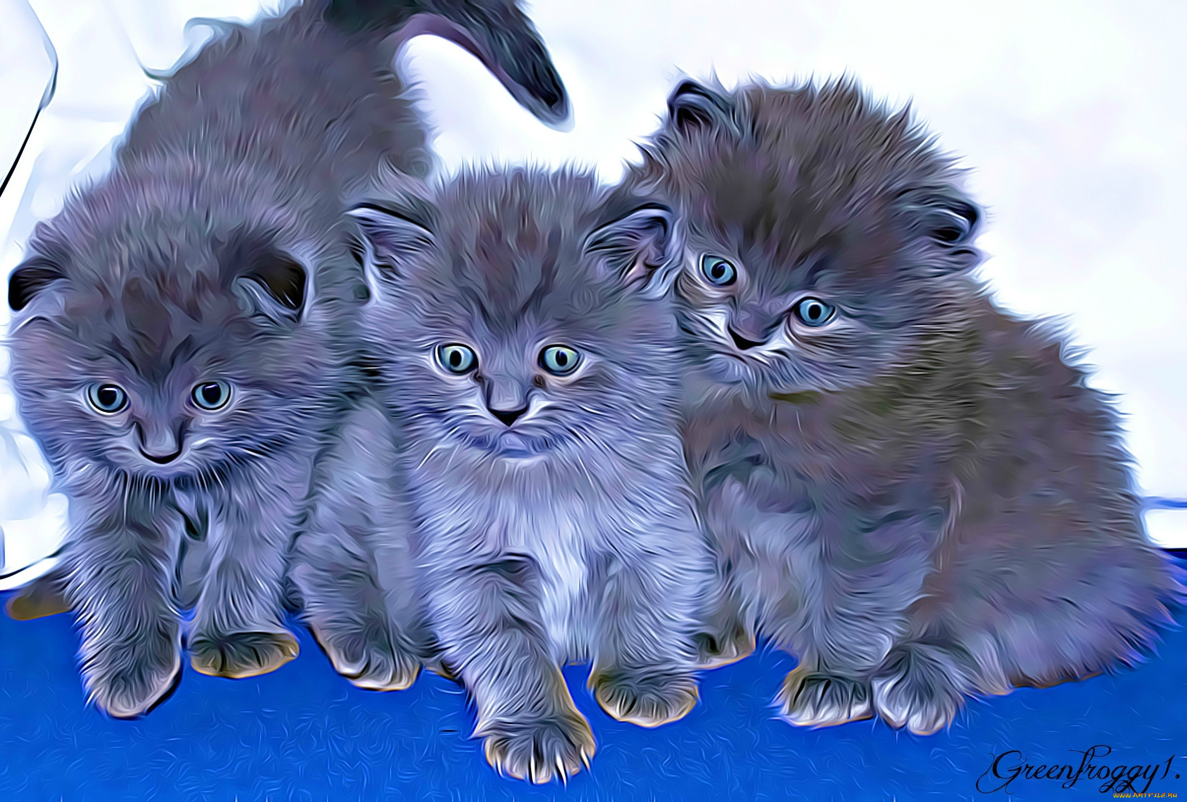 разное, компьютерный, дизайн, фон, коты