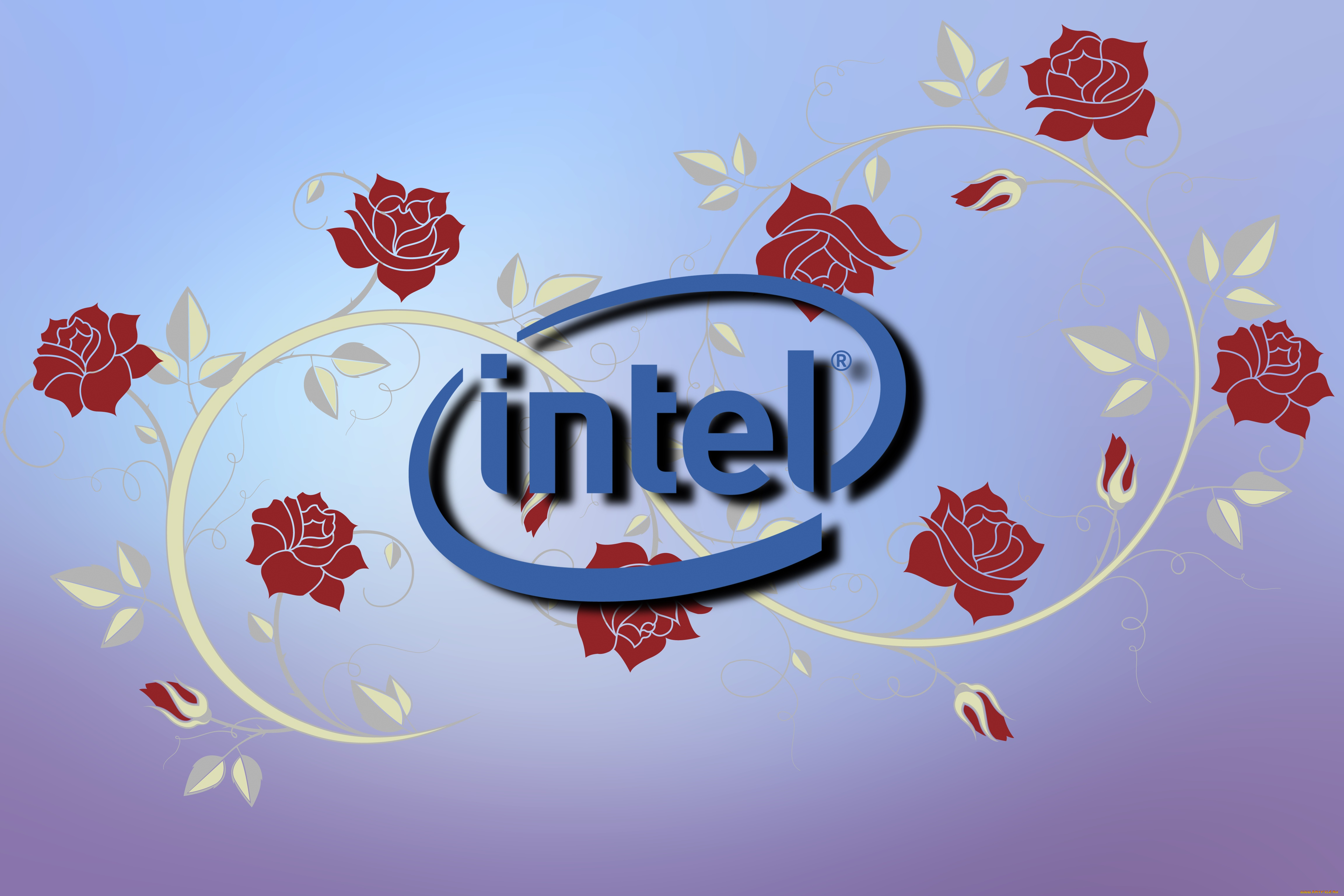 компьютеры, intel, фон, логотип