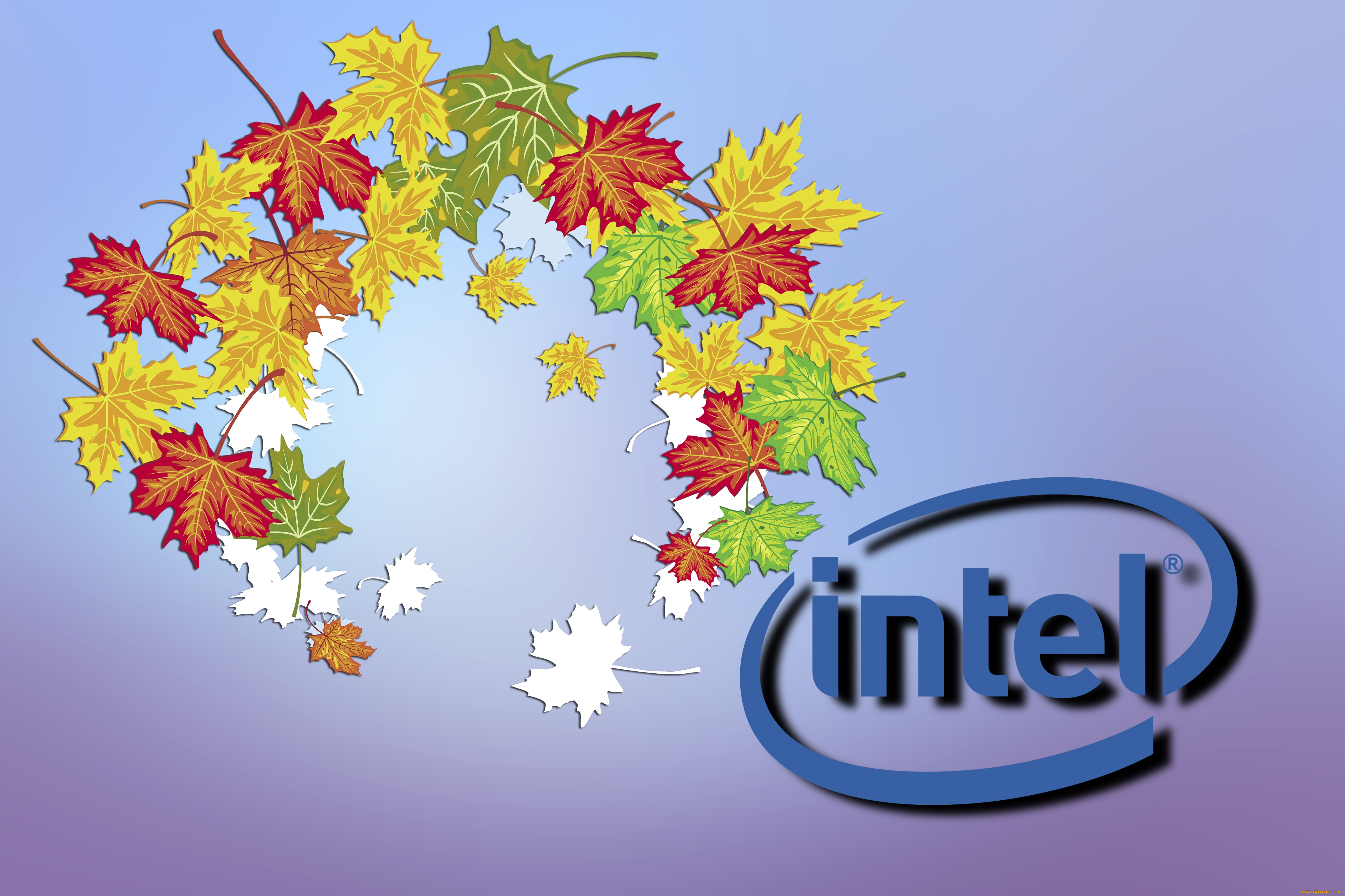 компьютеры, intel, фон, логотип