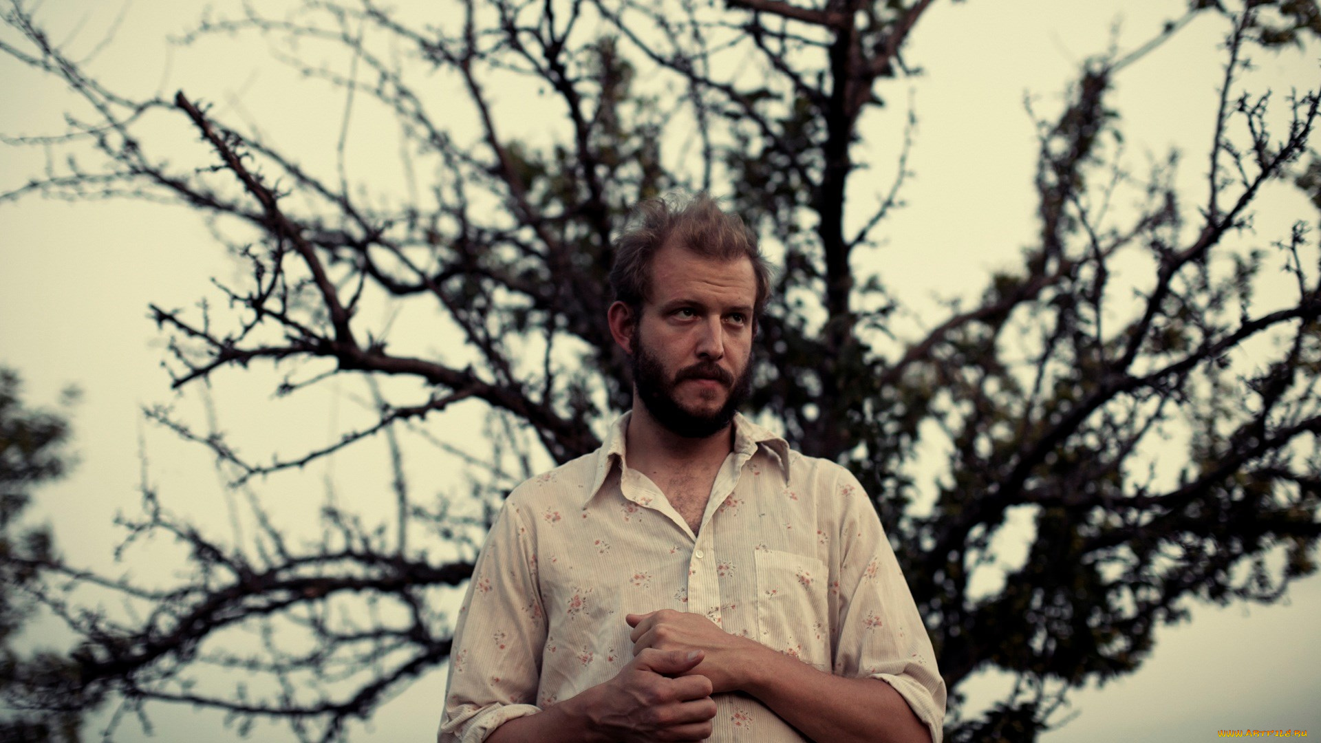 bon-iver, музыка, -временный, музыкант