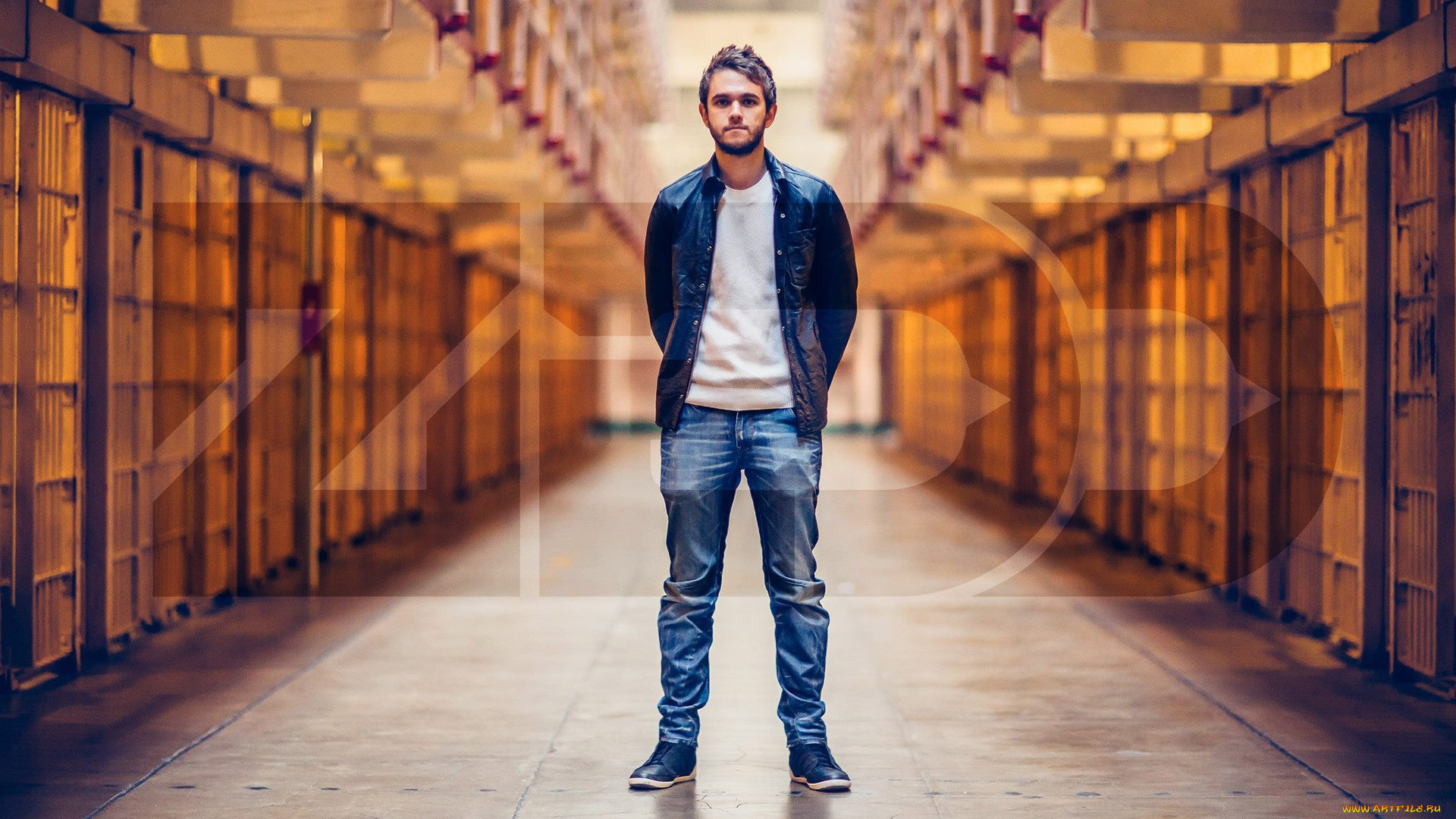 dj, zedd, музыка, -временный, диджей