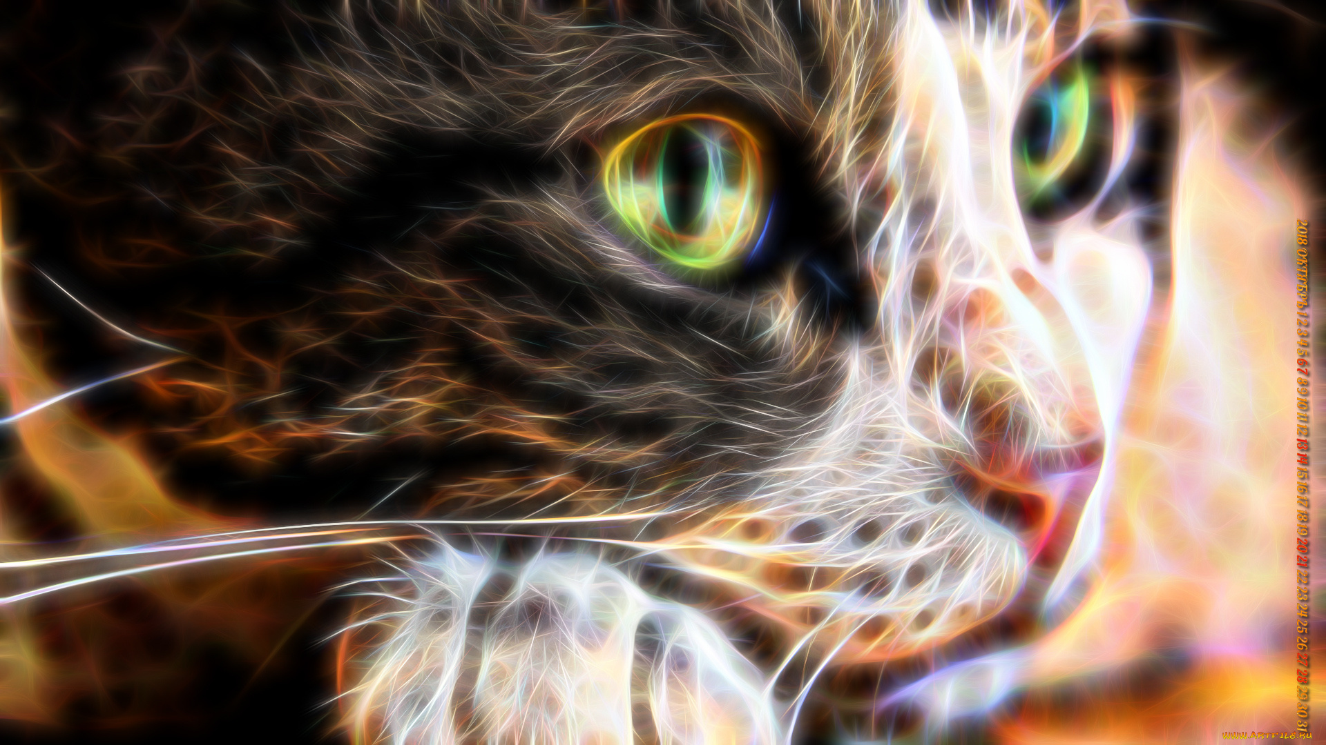 календари, компьютерный, дизайн, морда, взгляд, кошка