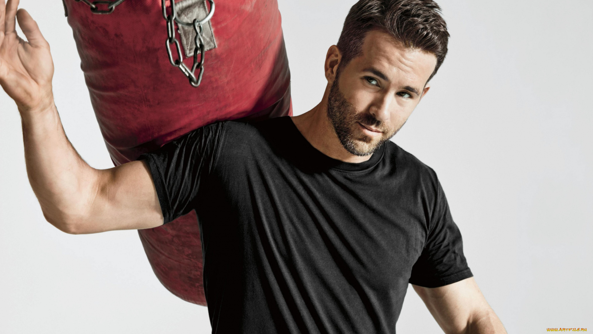 мужчины, ryan, reynolds, бородка