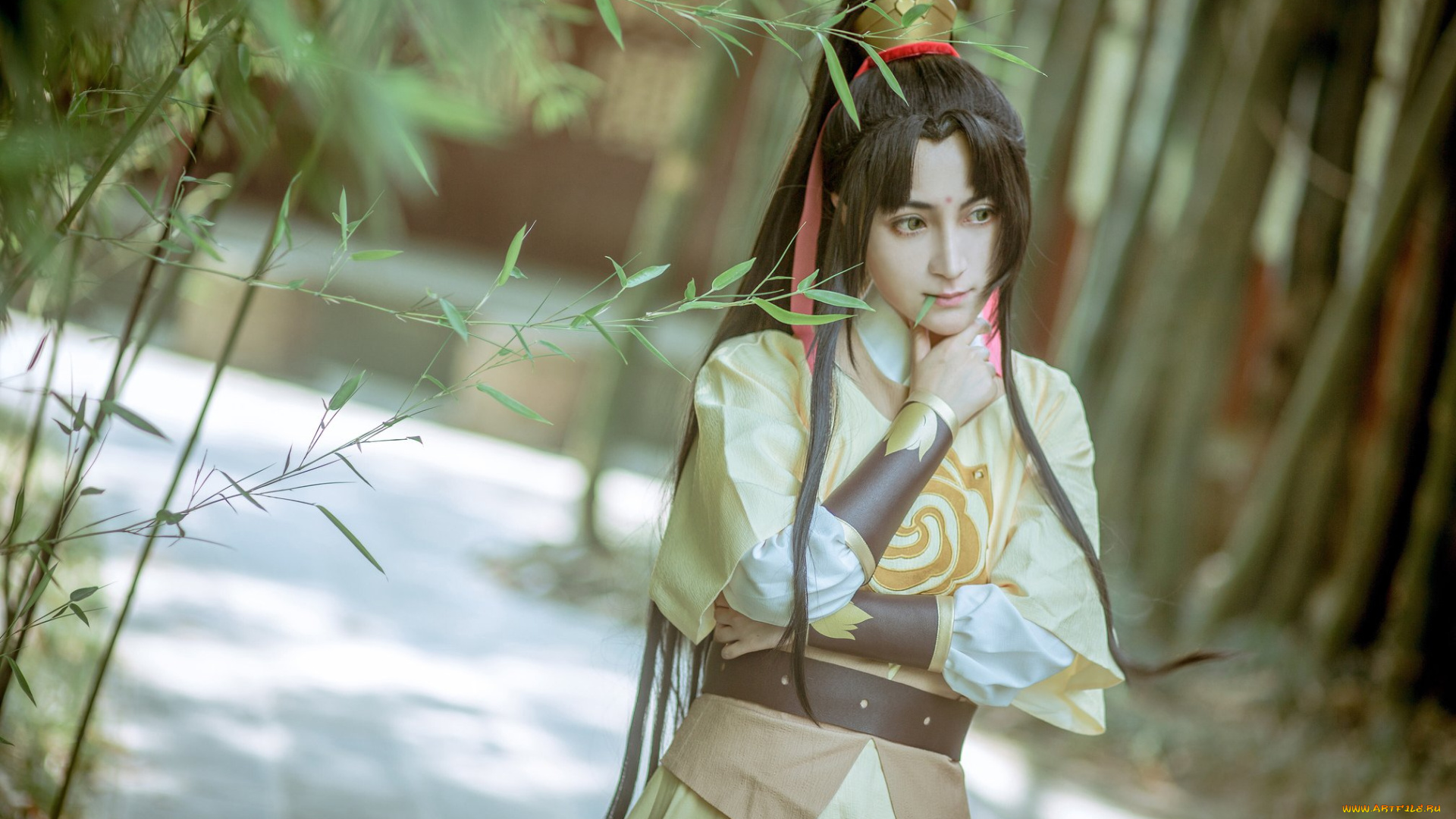 разное, cosplay, , косплей, бамбук, костюм, парень, волосы