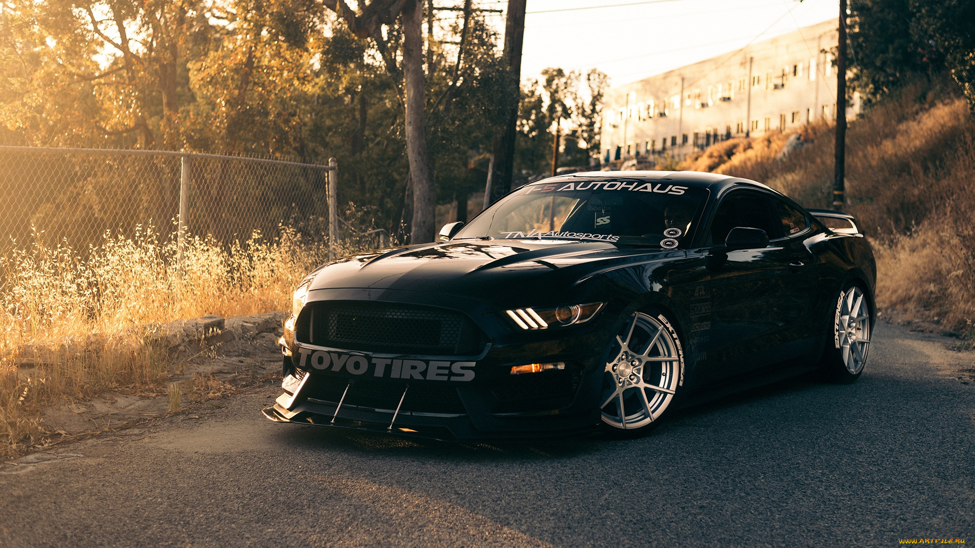 автомобили, mustang, ford