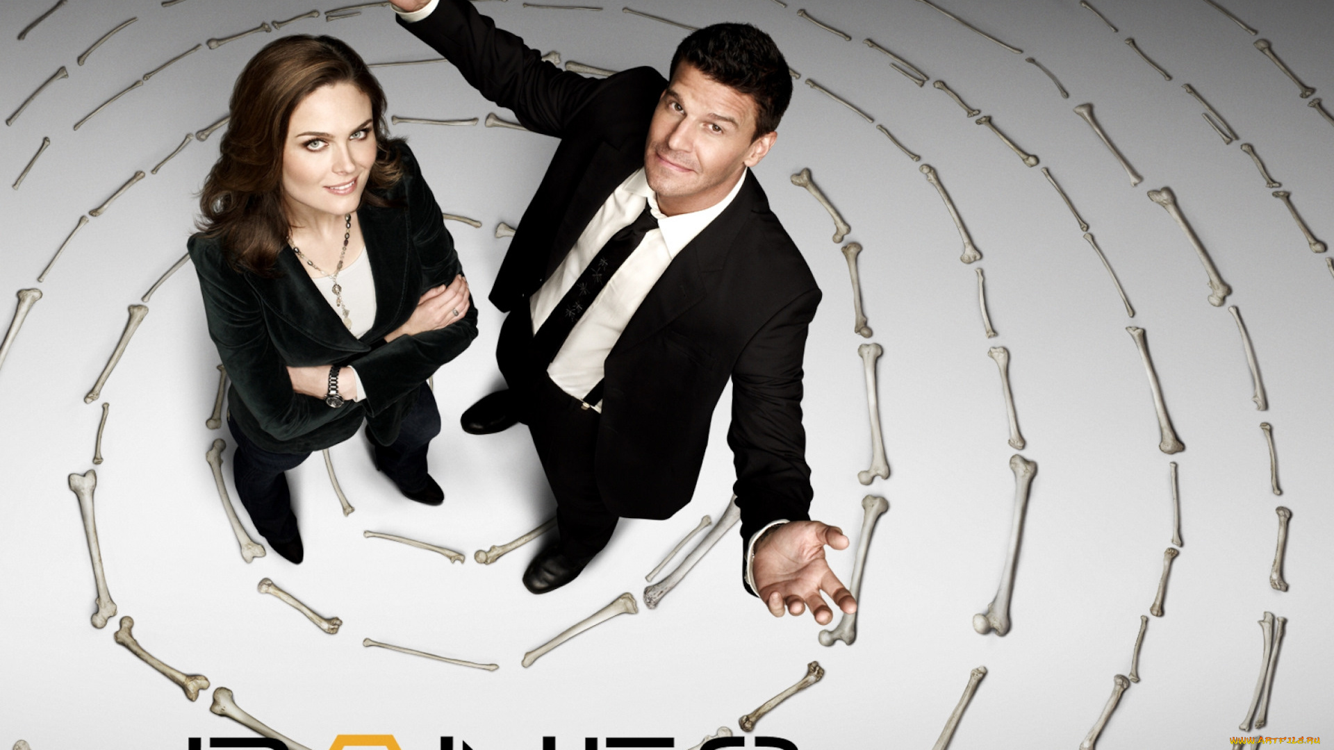 кино, фильмы, bones, полицейские, кости