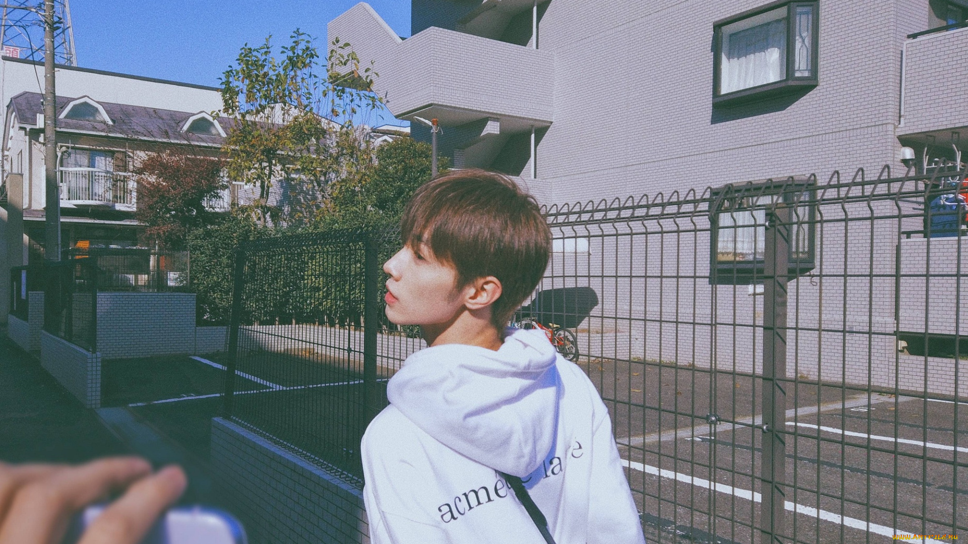 мужчины, song, ji, yang, сун, цзиян, китай, актёр, певец