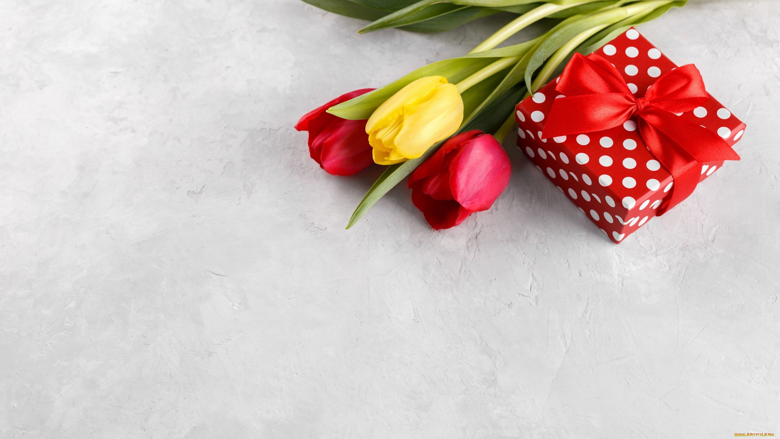 праздничные, подарки, и, коробочки, подарок, лента, бант, тюльпаны