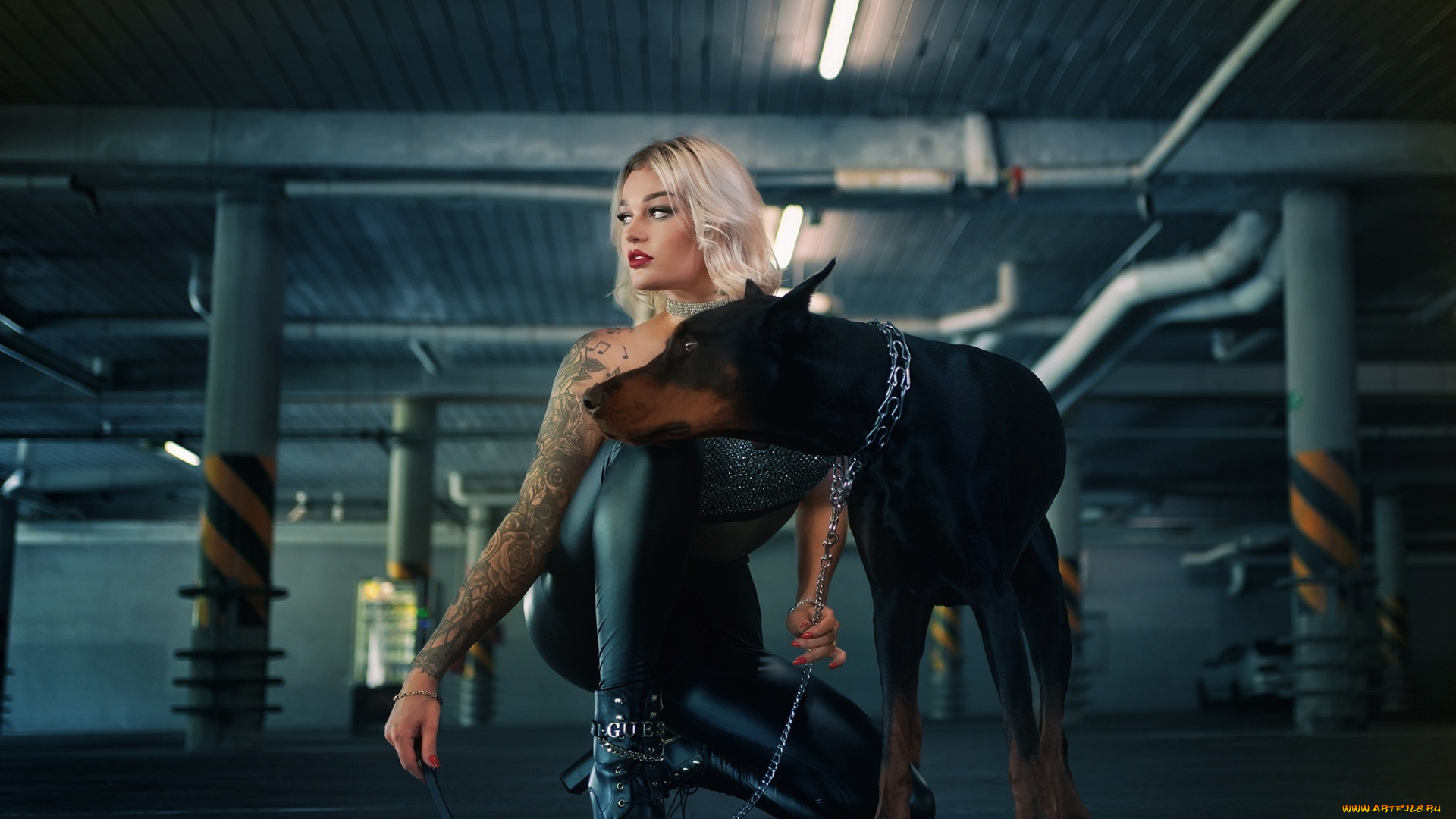 девушки, -, блондинки, , светловолосые, блондинка, поза, латекс, тату, собака