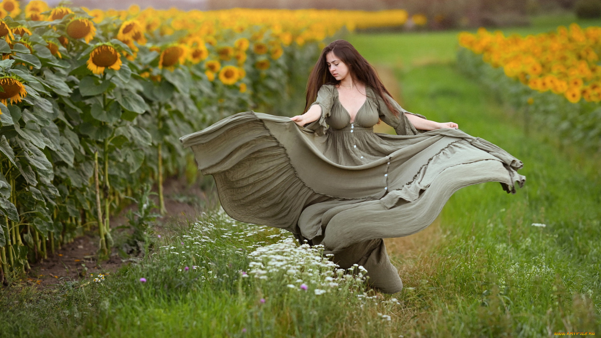 девушки, -, брюнетки, , шатенки, брюнетка, поле, подсолнухи, длинное, платье