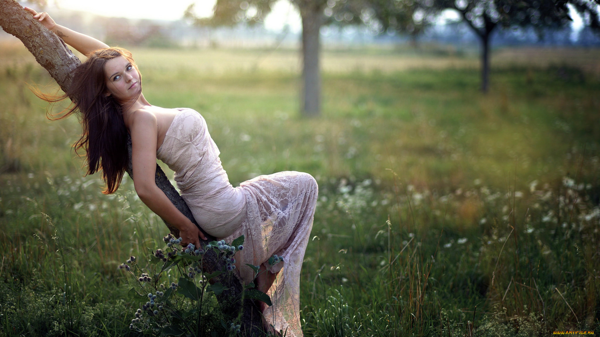 девушки, -, брюнетки, , шатенки, луг, брюнетка, поза, дерево