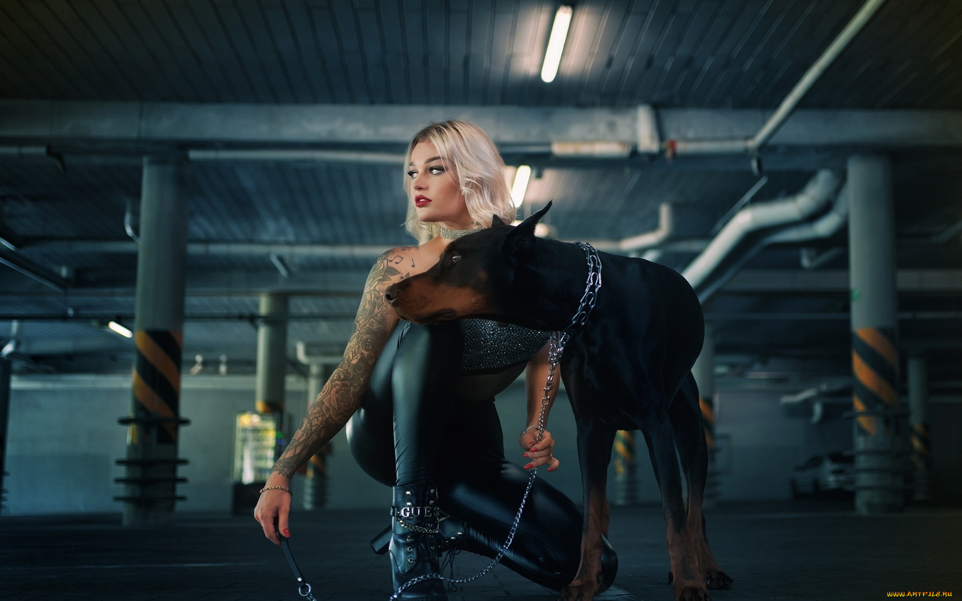 девушки, -, блондинки, , светловолосые, блондинка, поза, латекс, тату, собака