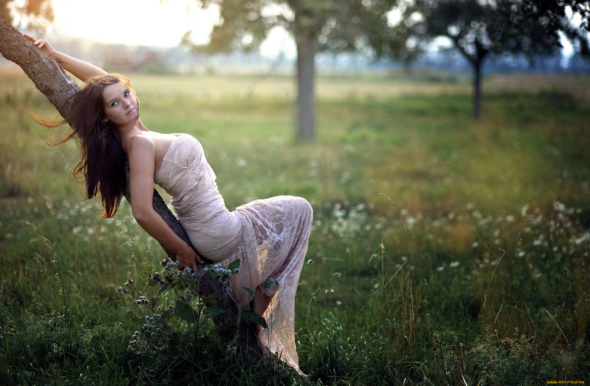 девушки, -, брюнетки, , шатенки, луг, брюнетка, поза, дерево