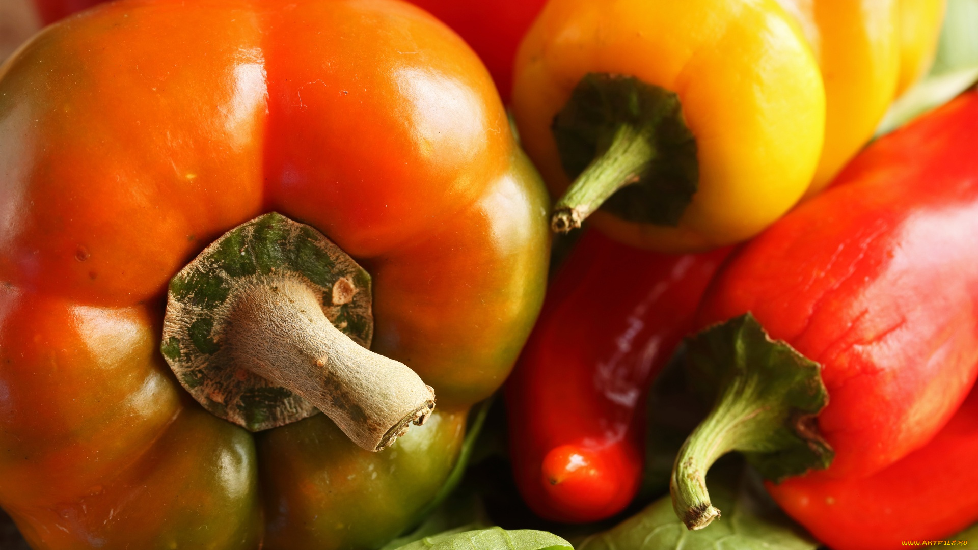 еда, перец, ассорти, макро