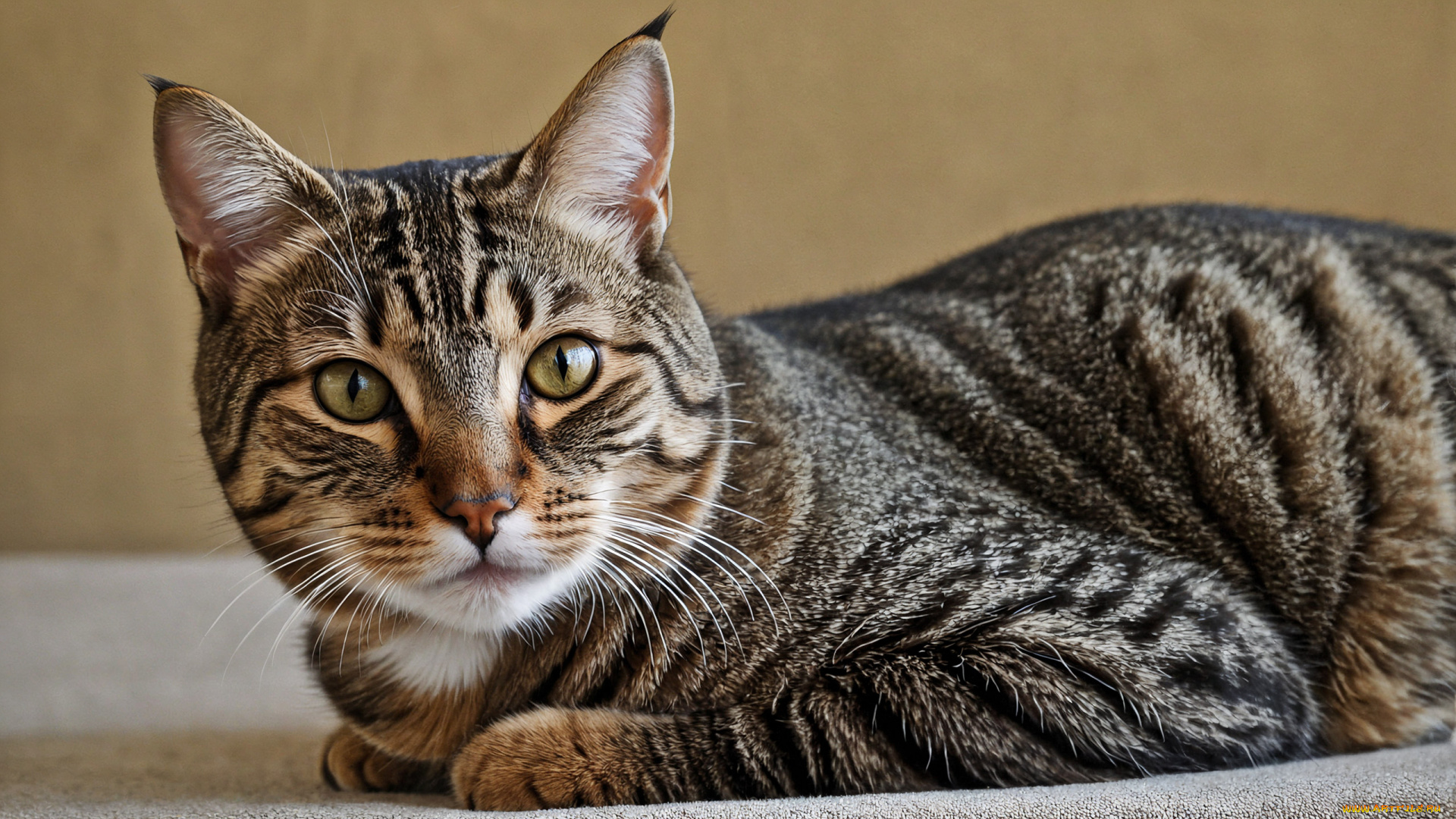 3д, графика, животные, , animals, нейросети, графика, нейроарт, ai, art, нейронные, сети, рисунки, нейро, искусство, нейрографика, graphics, neuroart, neural, networks, drawings, neuro, neurography