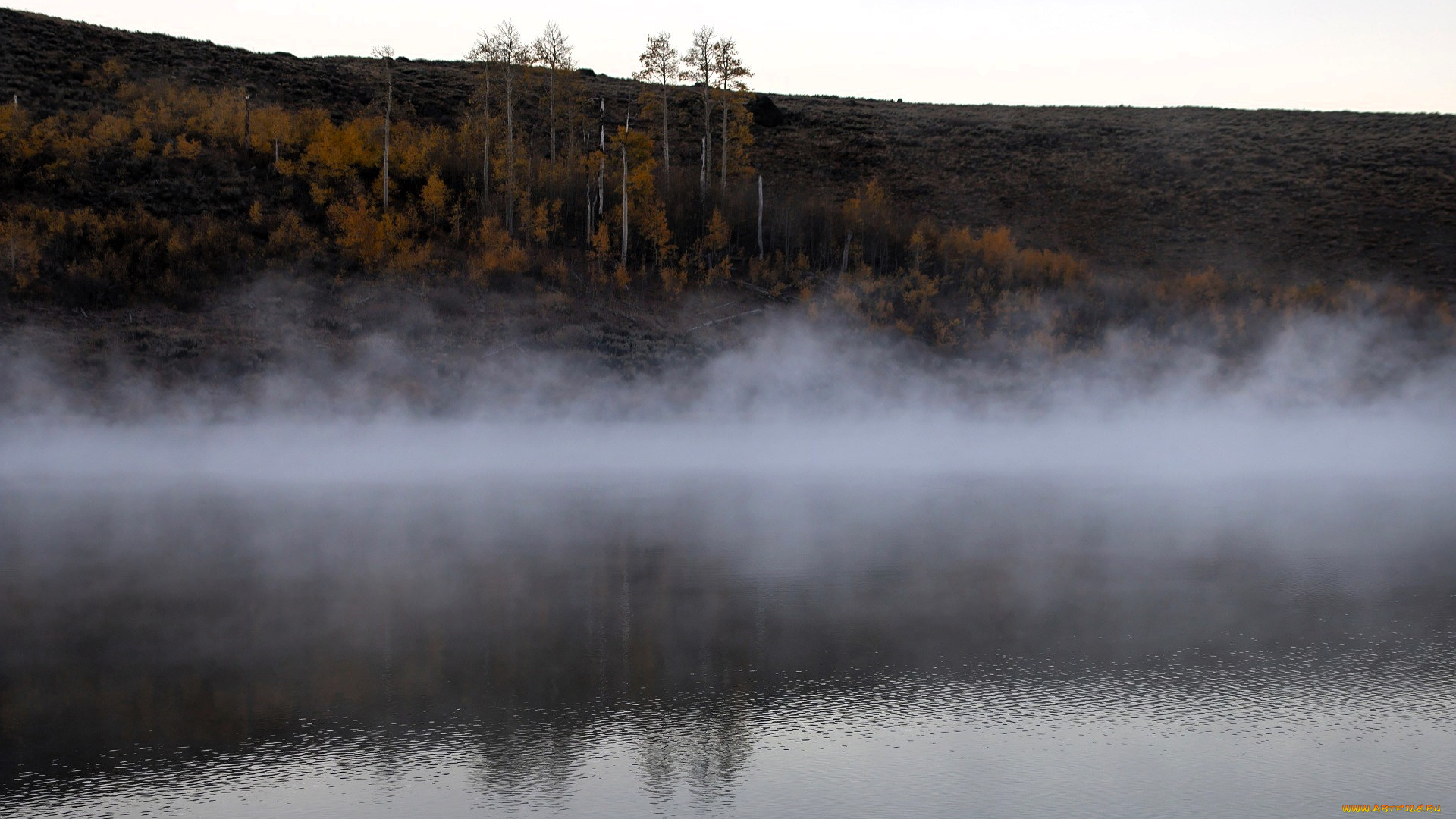 природа, реки, озера, склон, деревья, осень, туман, озеро