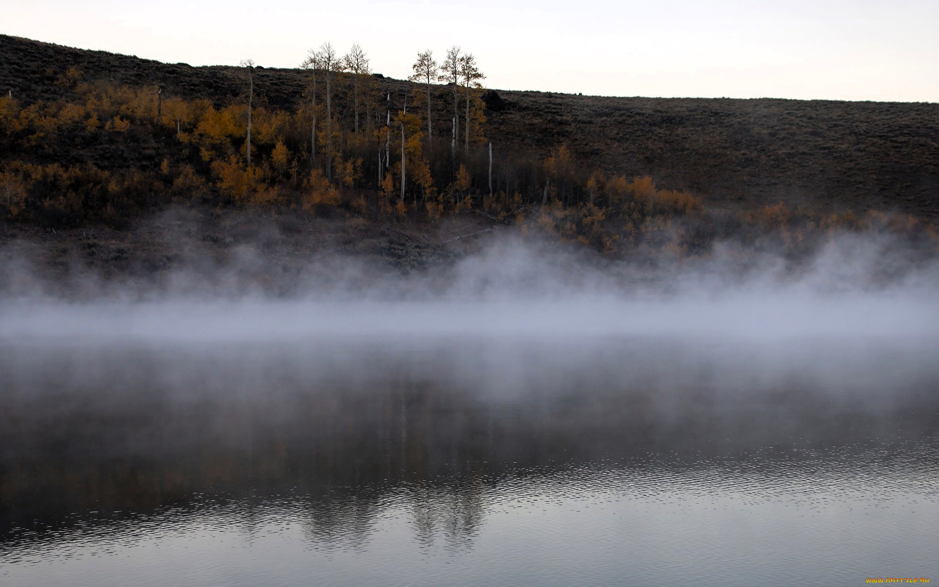 природа, реки, озера, склон, деревья, осень, туман, озеро