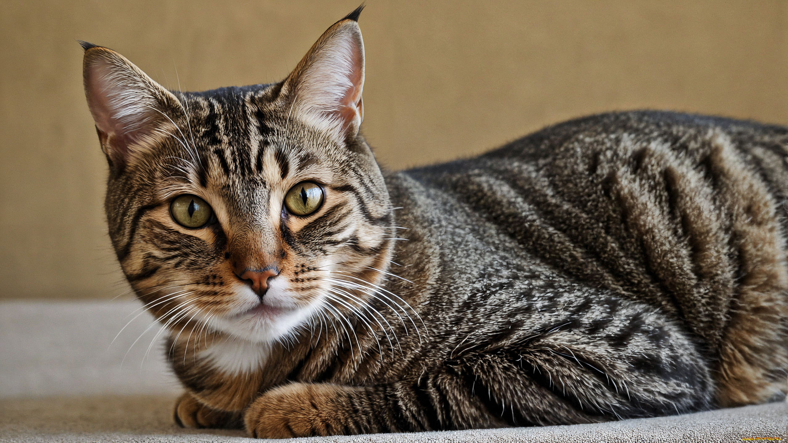 3д, графика, животные, , animals, нейросети, графика, нейроарт, ai, art, нейронные, сети, рисунки, нейро, искусство, нейрографика, graphics, neuroart, neural, networks, drawings, neuro, neurography