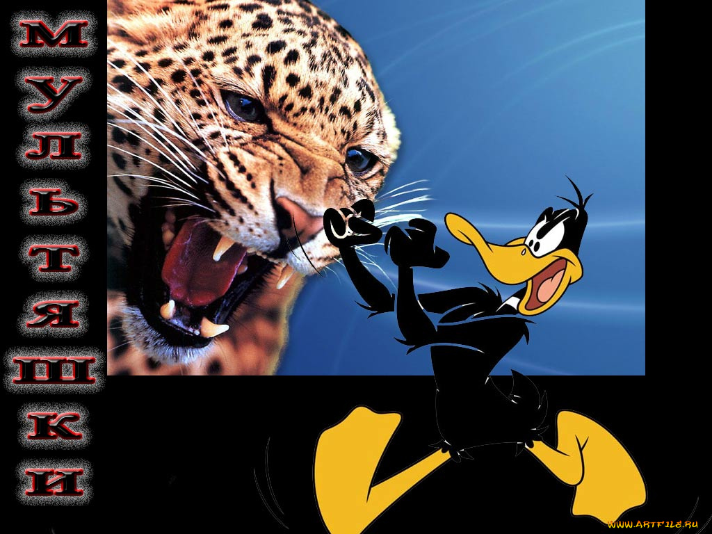 боец, юмор, приколы