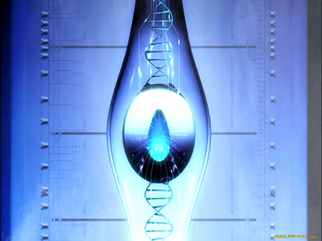 аниме, appleseed