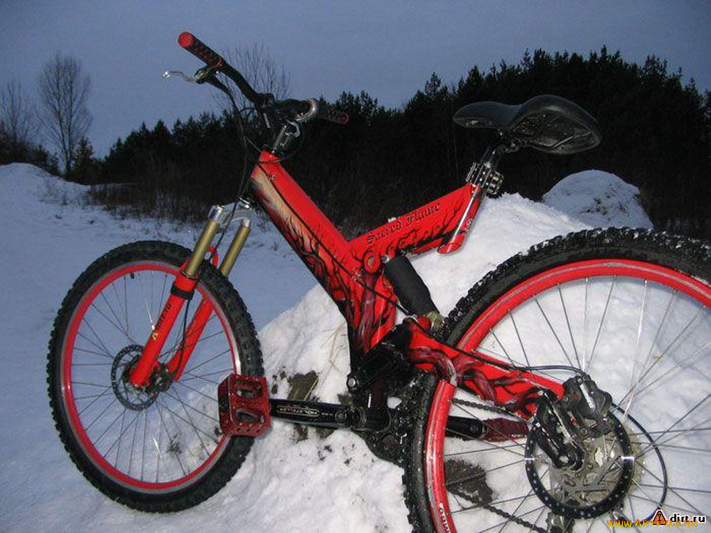 спорт, велоспорт