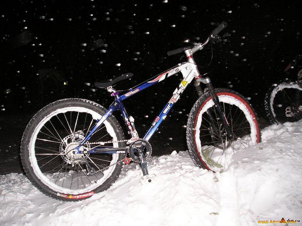 спорт, велоспорт