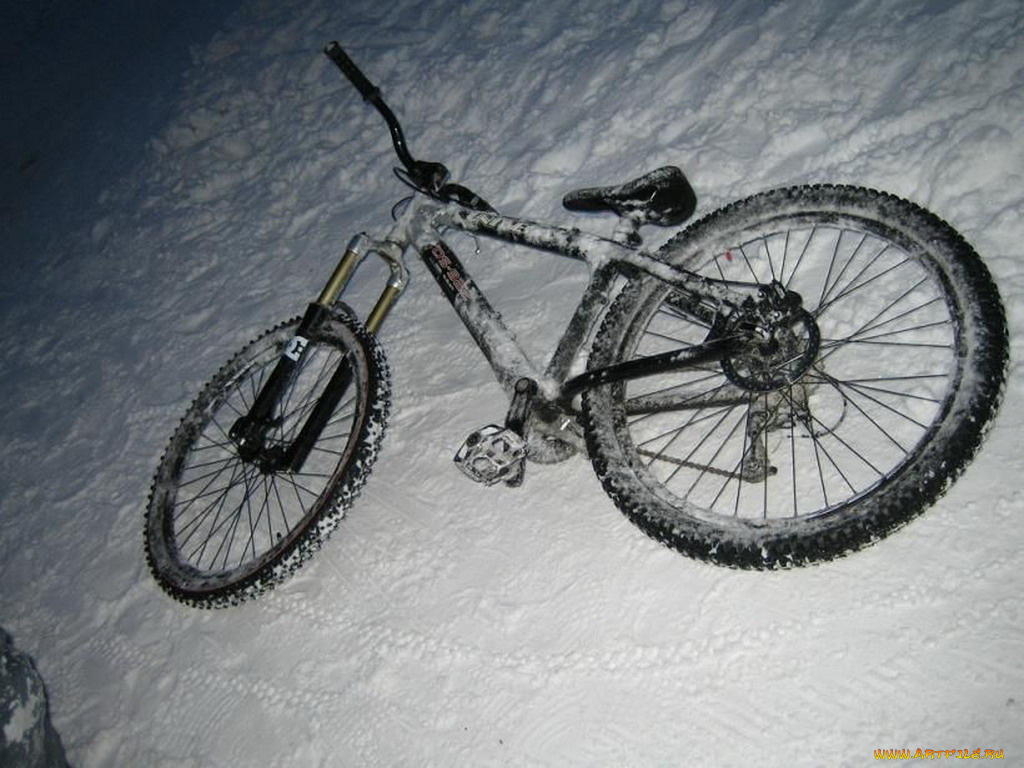 спорт, велоспорт