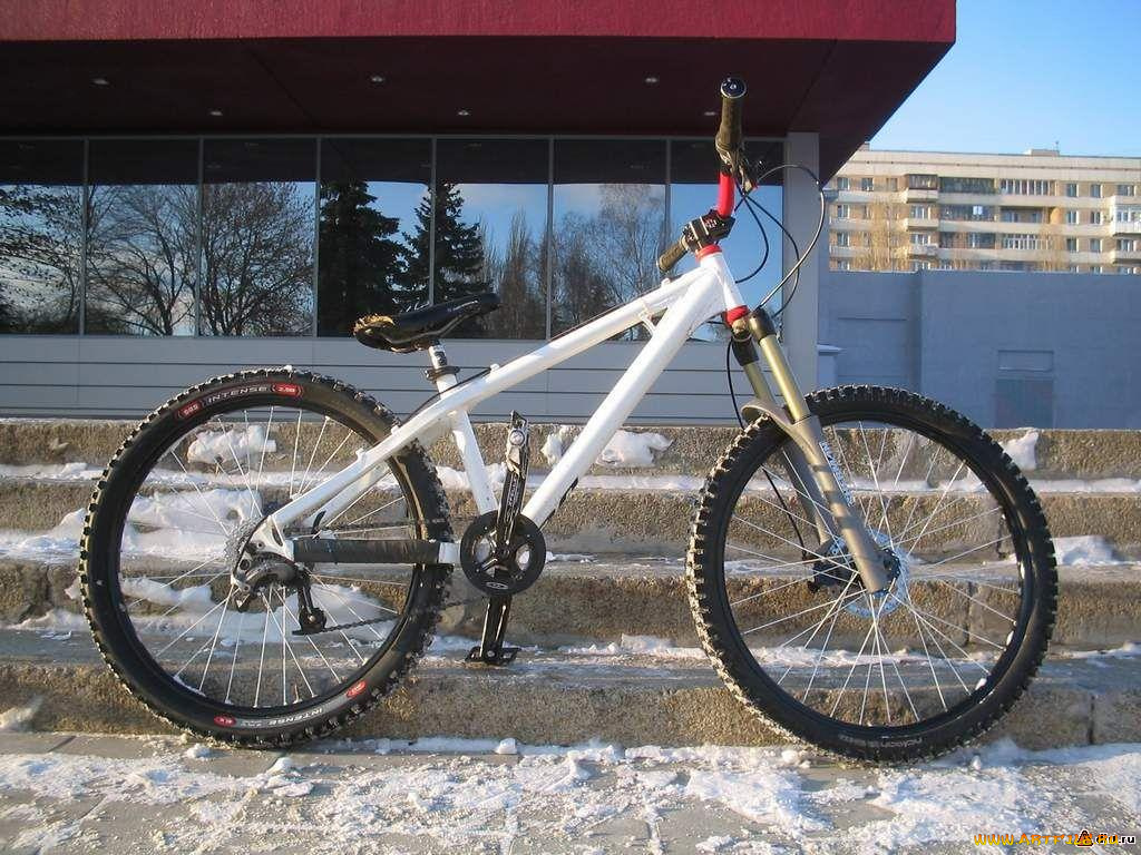 спорт, велоспорт